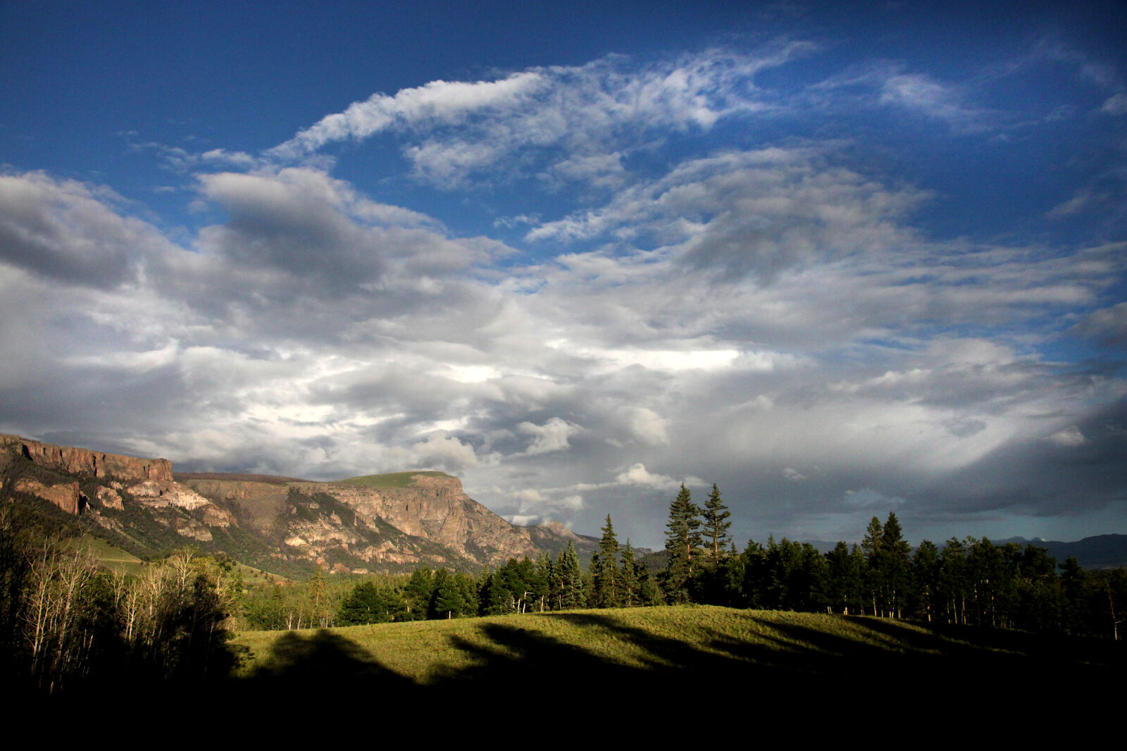 Canon EOS 500D (EOS Rebel T1i / EOS Kiss X3) sample photo