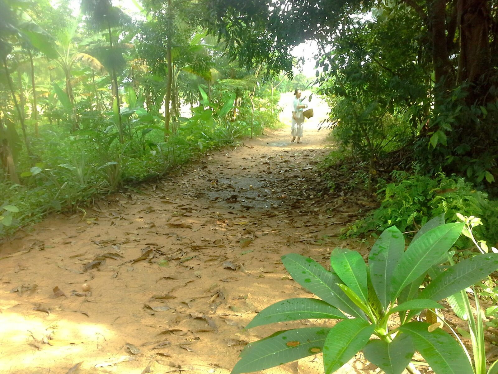 Samsung Galaxy Note 10.1 sample photo