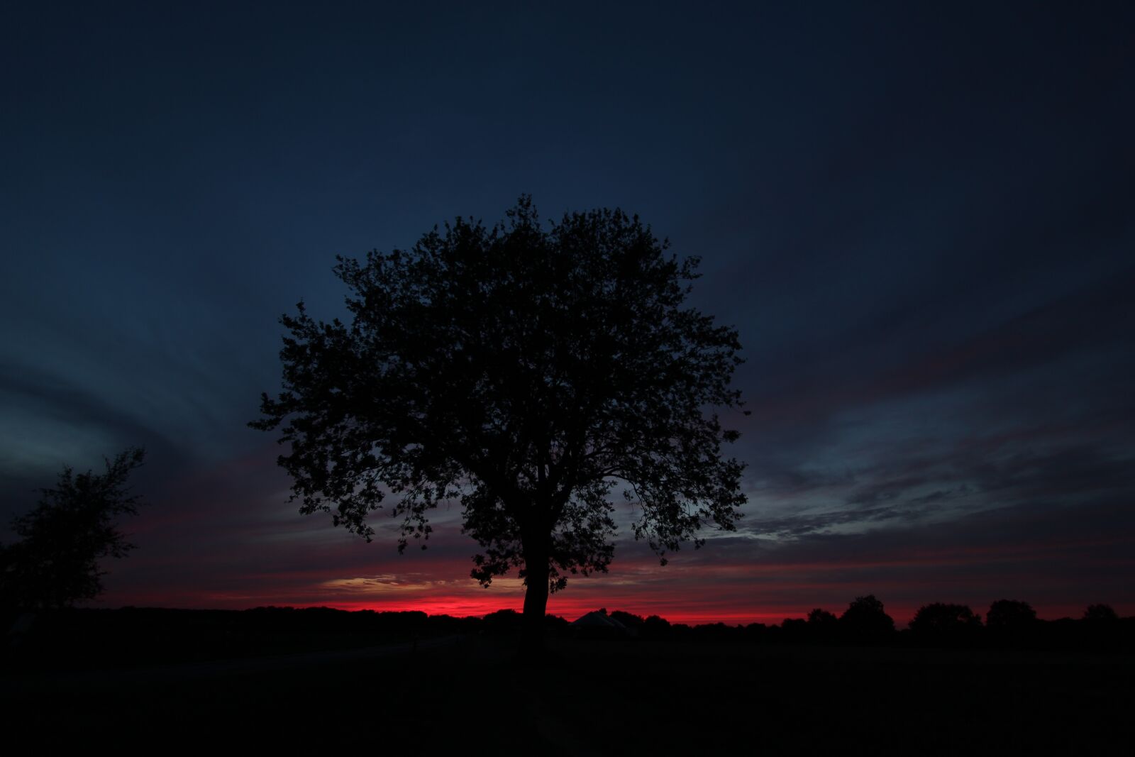 Canon EOS 550D (EOS Rebel T2i / EOS Kiss X4) sample photo. Tree, evening, twilight photography