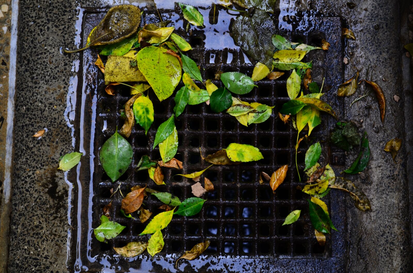 Nikon D5100 sample photo. People, nature, landscape photography