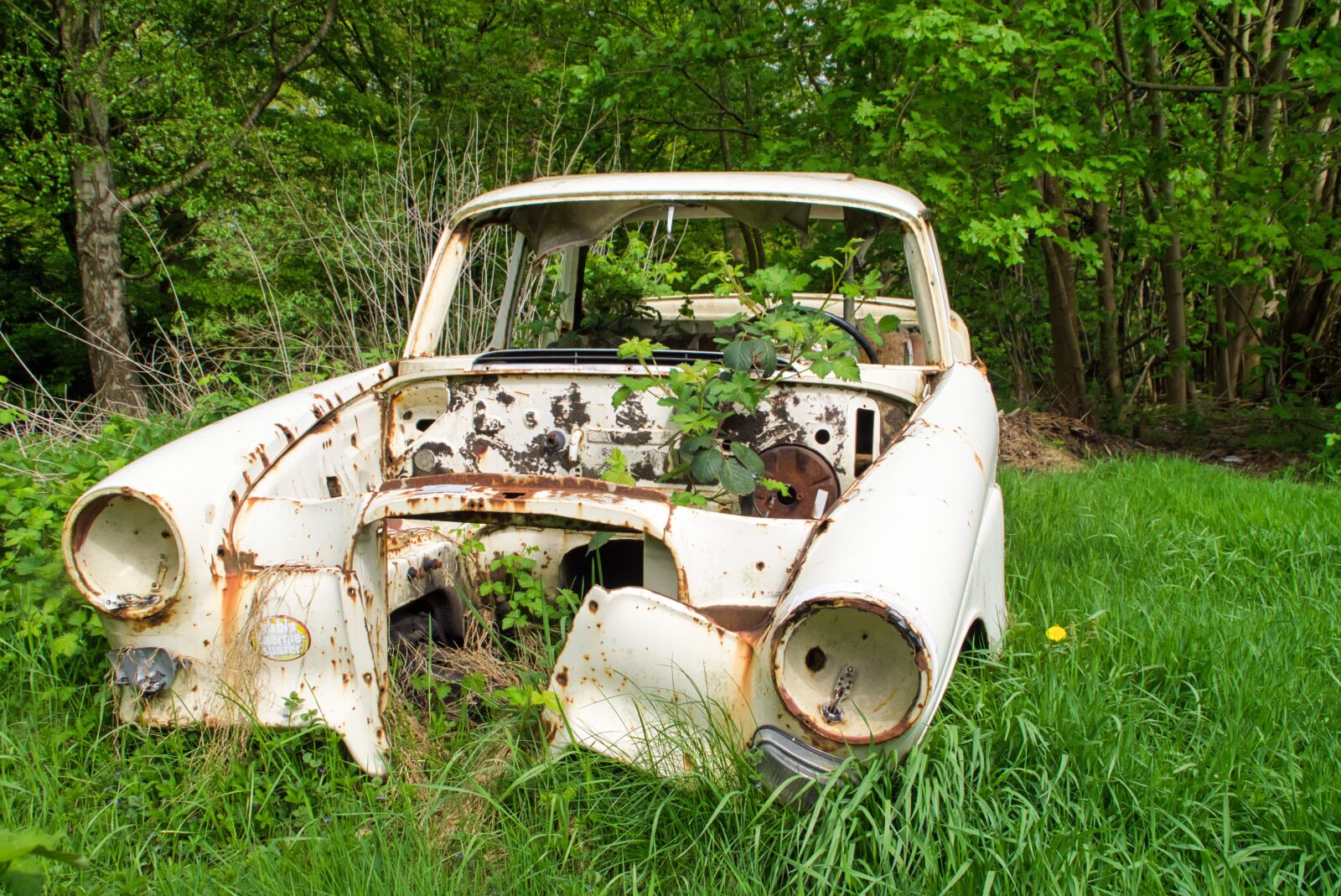 Sony DT 18-200mm F3.5-6.3 sample photo. Auto, nature, oldtimer photography