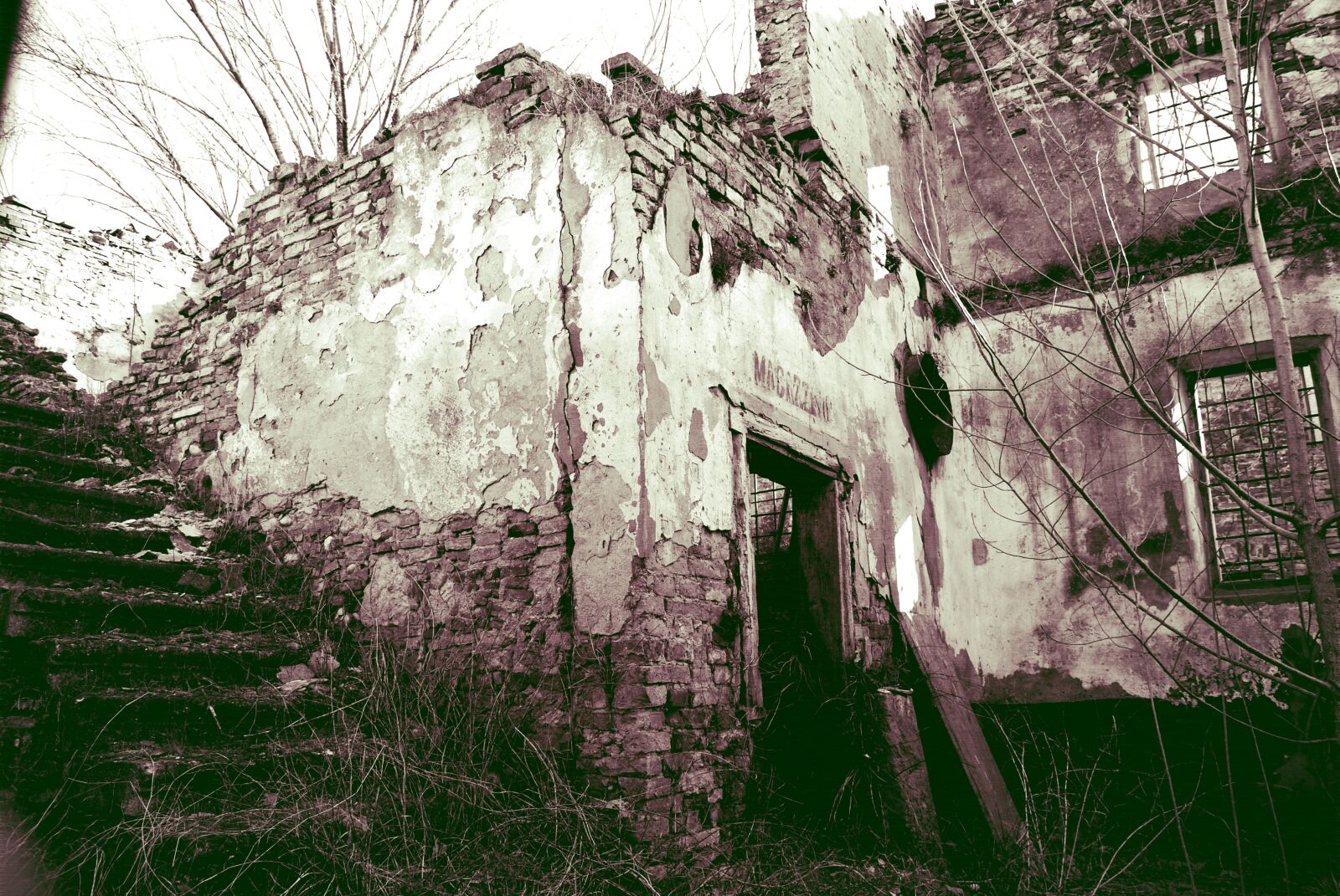 Nikon D200 sample photo. Mill, warehouse, white photography