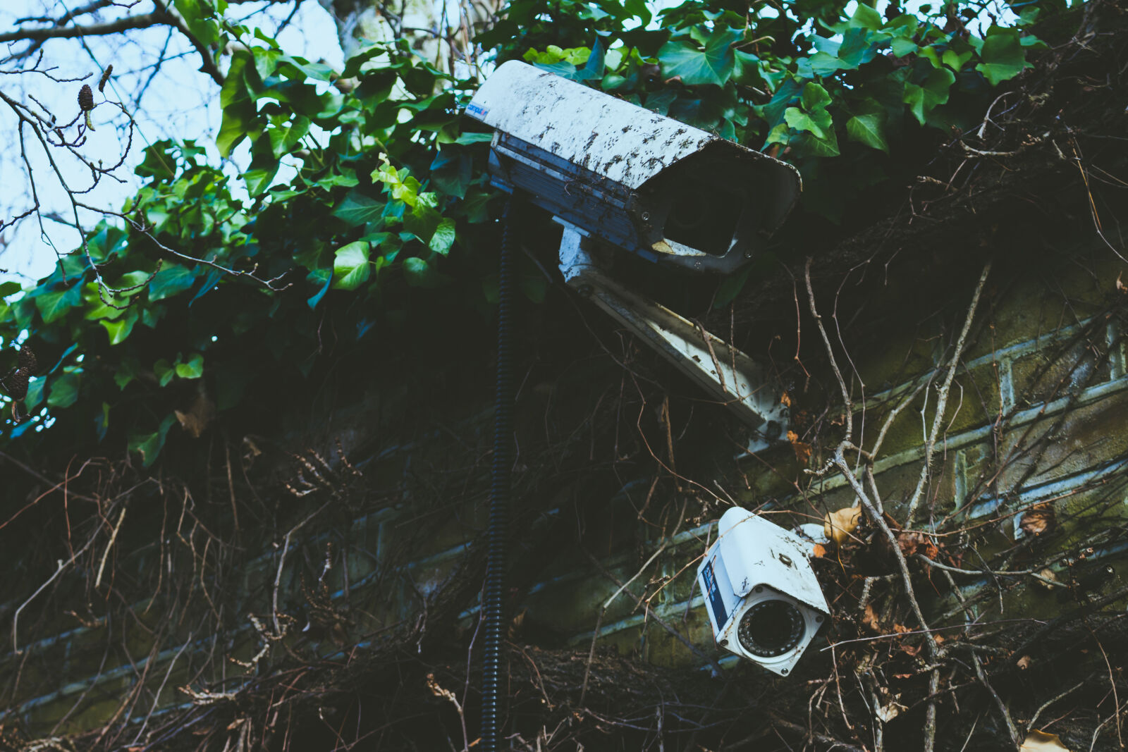 Canon EOS 700D (EOS Rebel T5i / EOS Kiss X7i) sample photo. Brickwall, camera, cctv, dirty photography