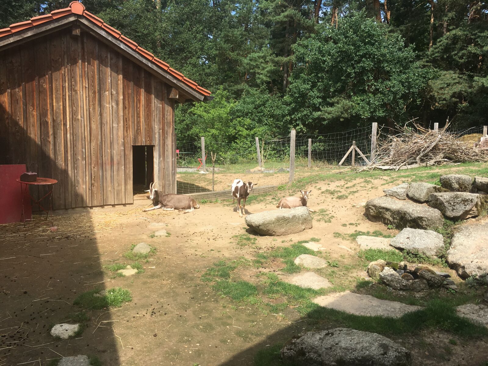 iPhone 6s Plus back camera 4.15mm f/2.2 sample photo. Hut, barn, woodhouse photography