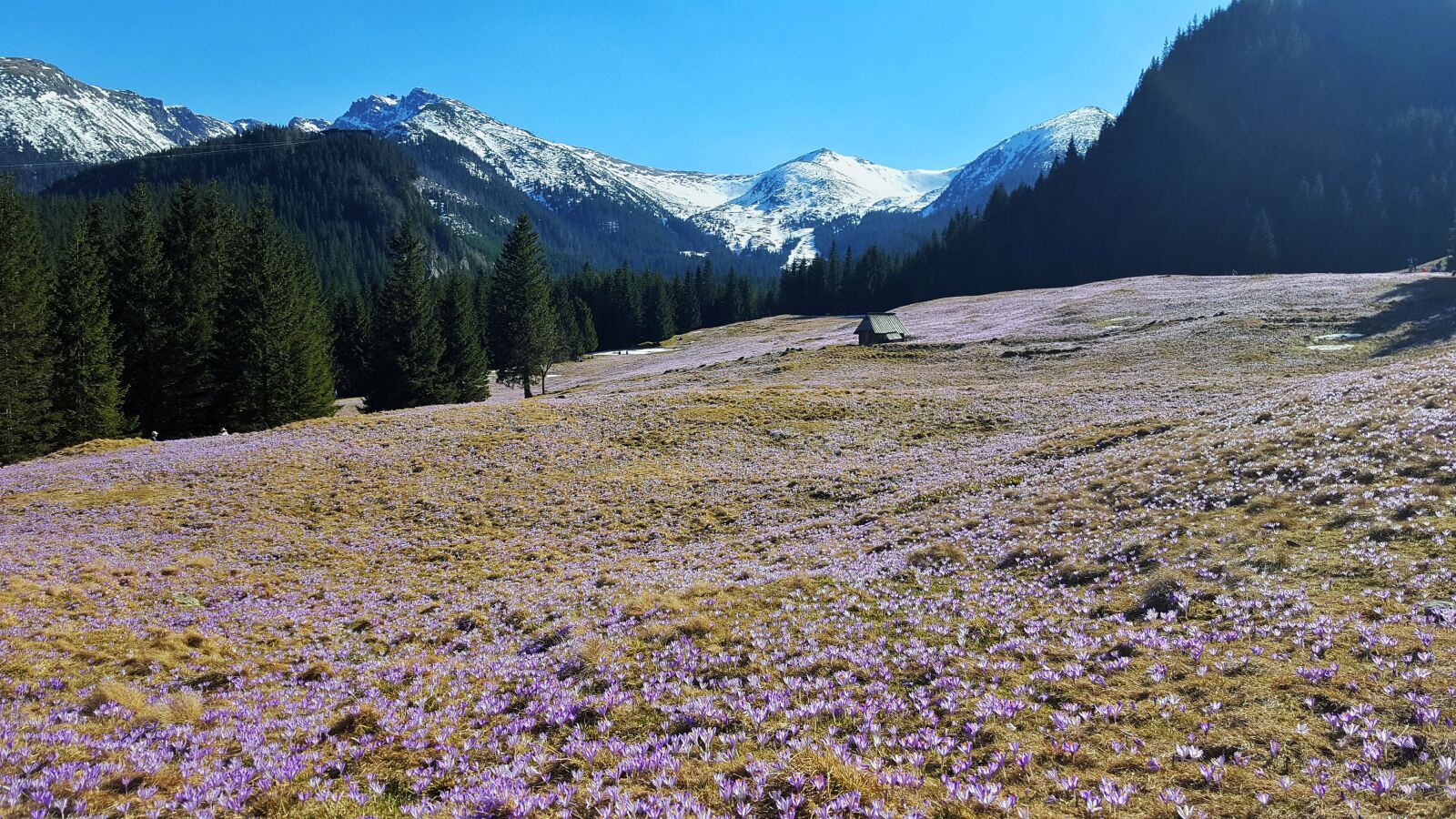 Samsung Galaxy S6 sample photo. Kalatówki, tatry, buried photography
