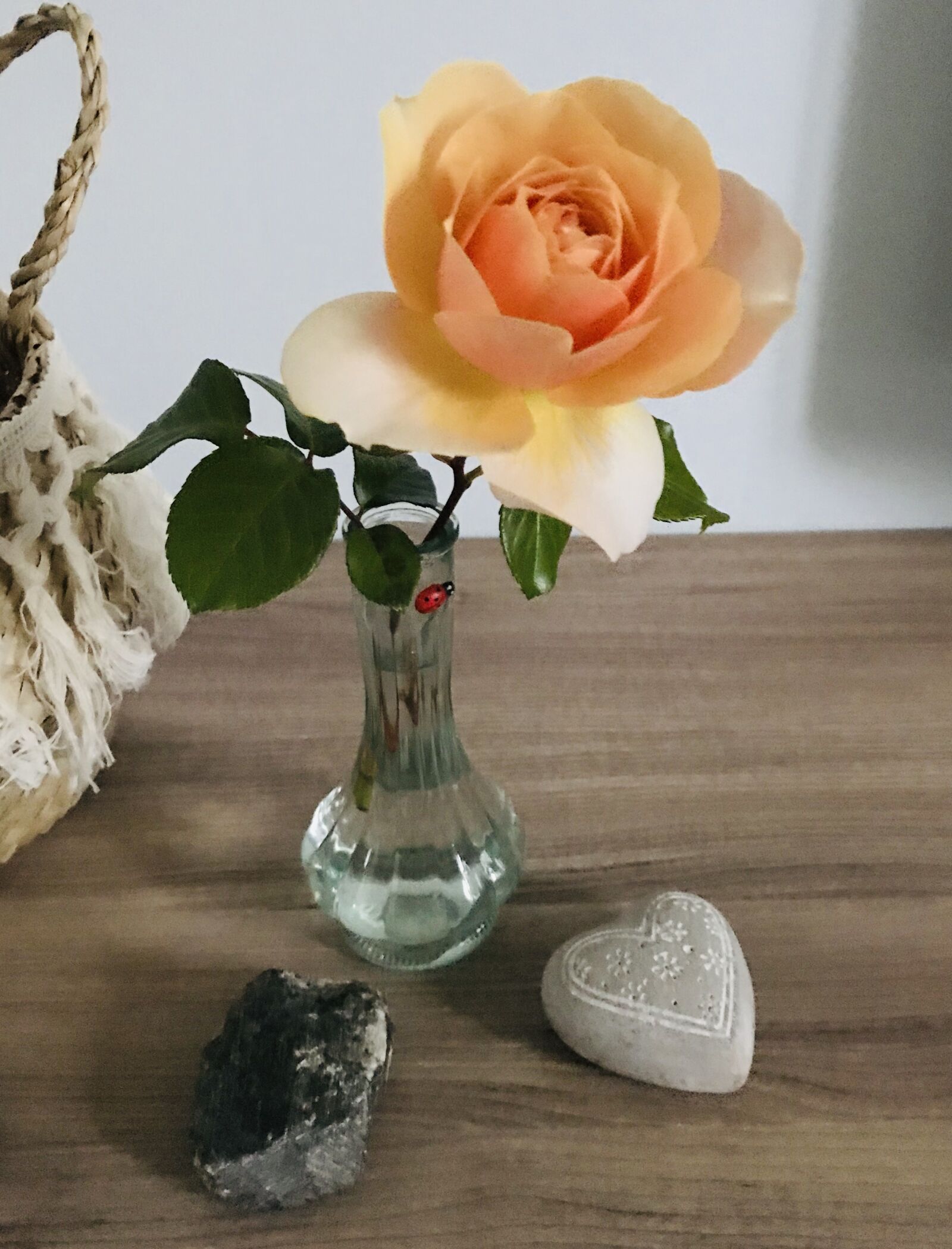 iPhone 7 back camera 3.99mm f/1.8 sample photo. Pink, vase, zen photography