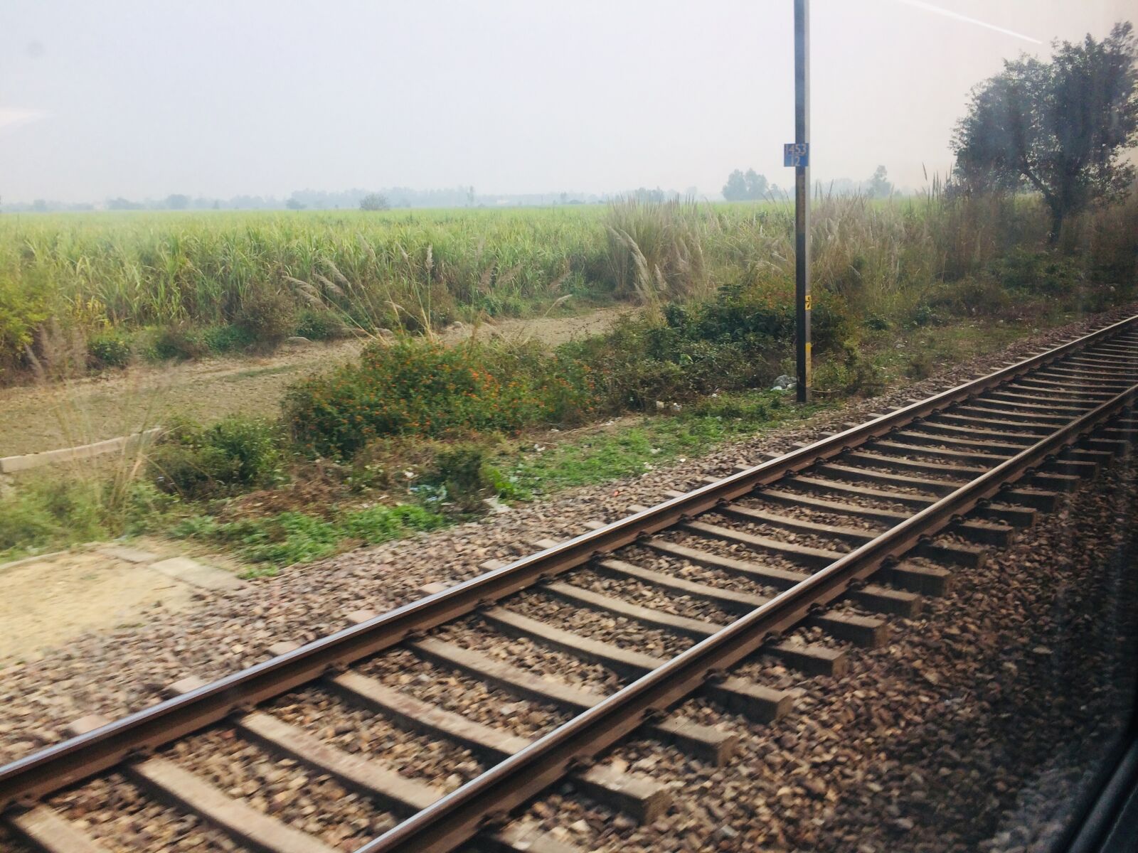 Apple iPhone 5s sample photo