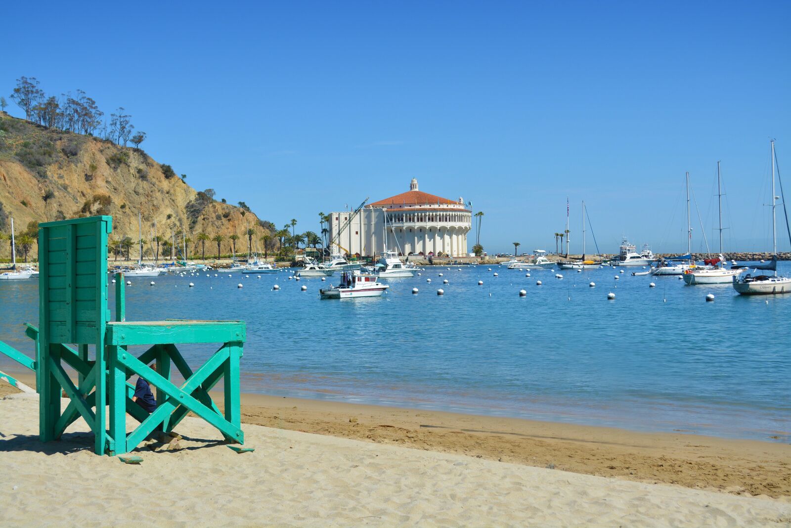 Nikon D5200 sample photo. Catalina, island, vacation photography