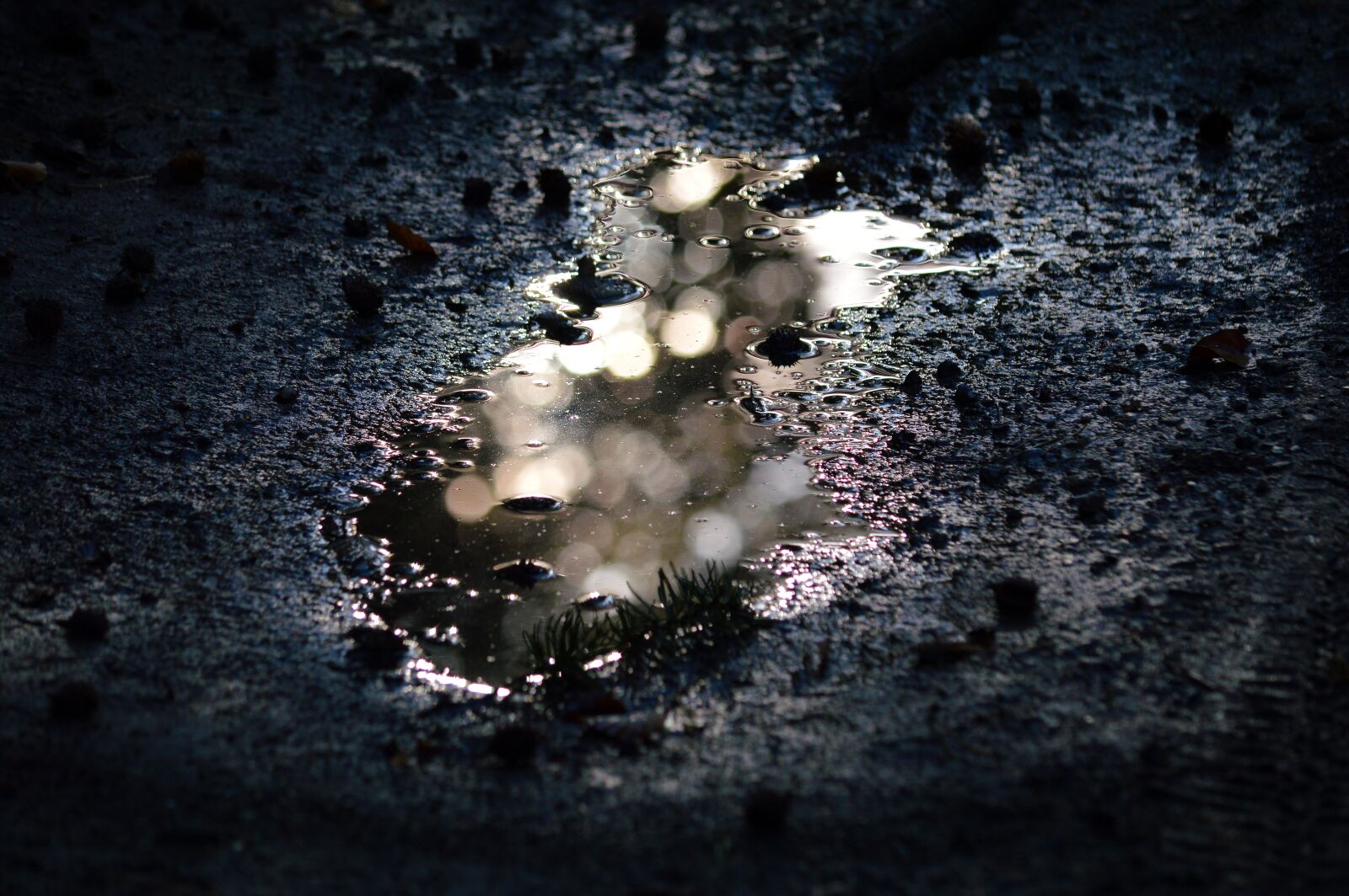 Nikon D3200 sample photo. Dirt, puddle, water photography