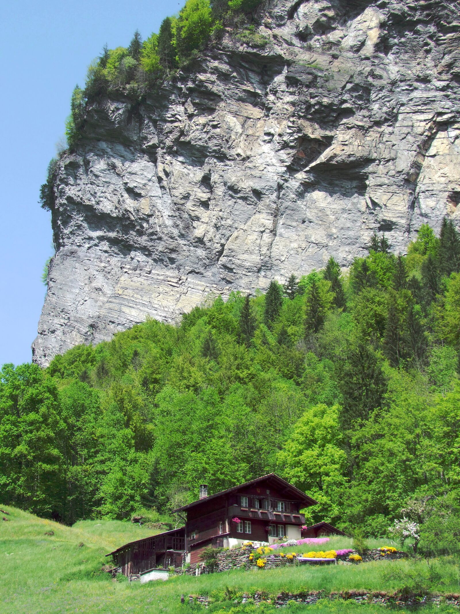 Fujifilm FinePix S100fs sample photo. Rocks, chalet, flowers photography