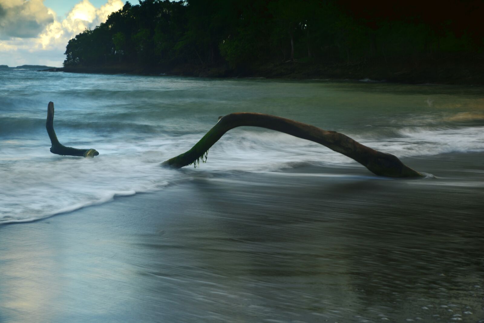 Tamron SP 24-70mm F2.8 Di VC USD sample photo. Wood, sea, water photography