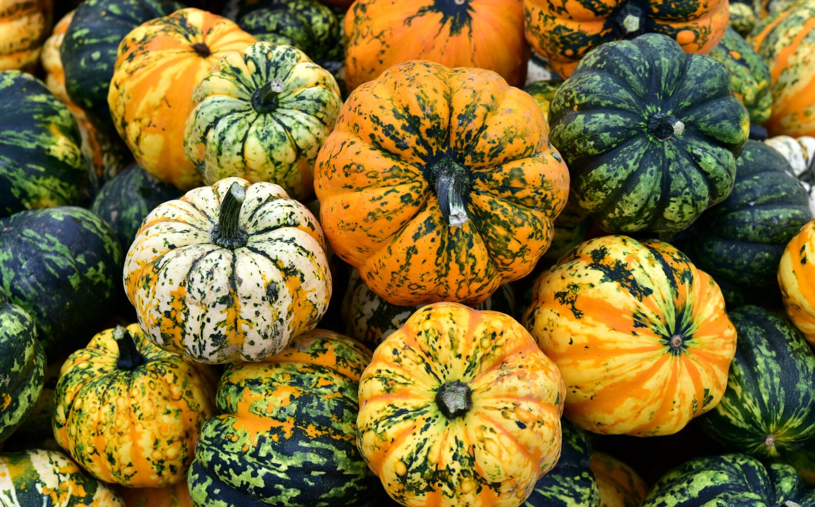 Nikon D750 sample photo. Microwave pumpkin, butter cream photography