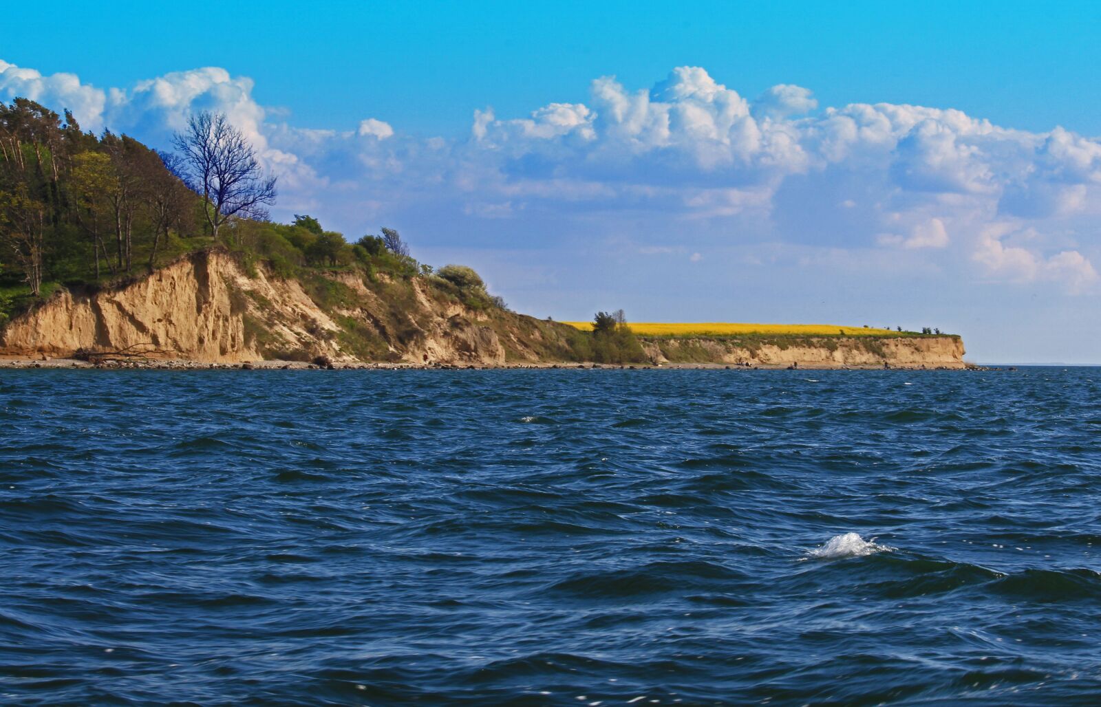 Canon EOS 700D (EOS Rebel T5i / EOS Kiss X7i) sample photo. R gen island, island photography