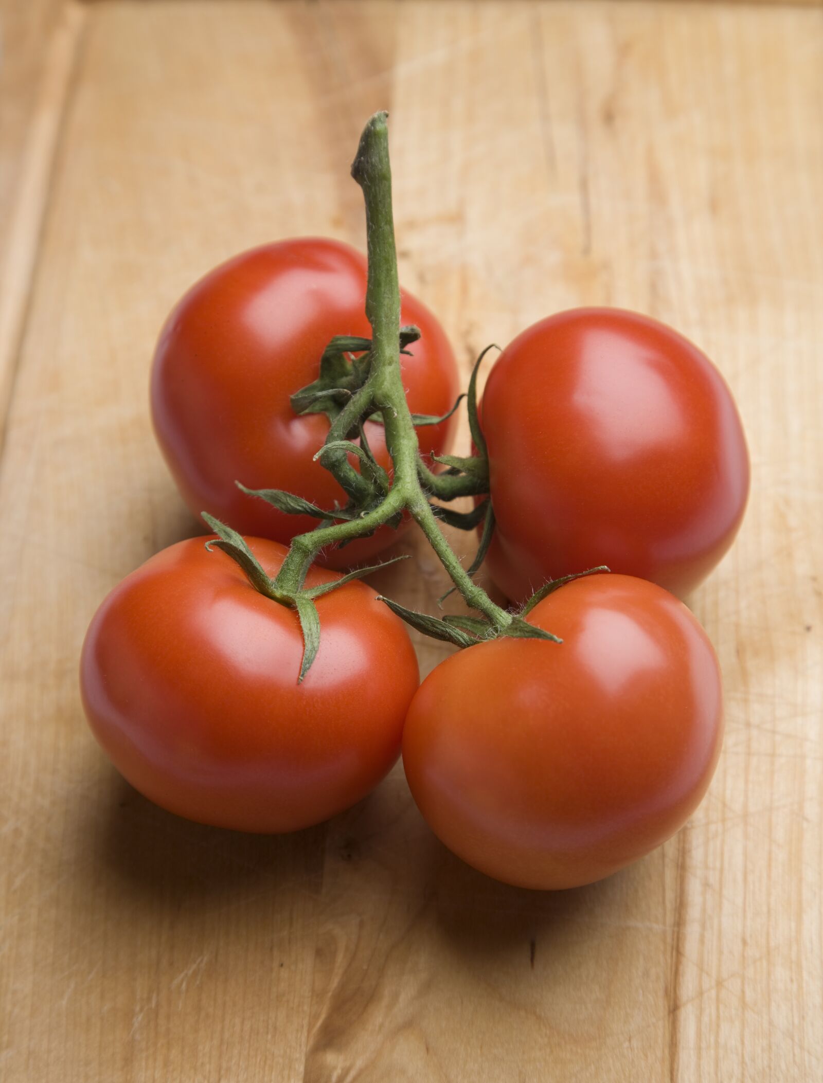 Canon EOS-1Ds Mark III sample photo. Tomato, red, bush tomato photography
