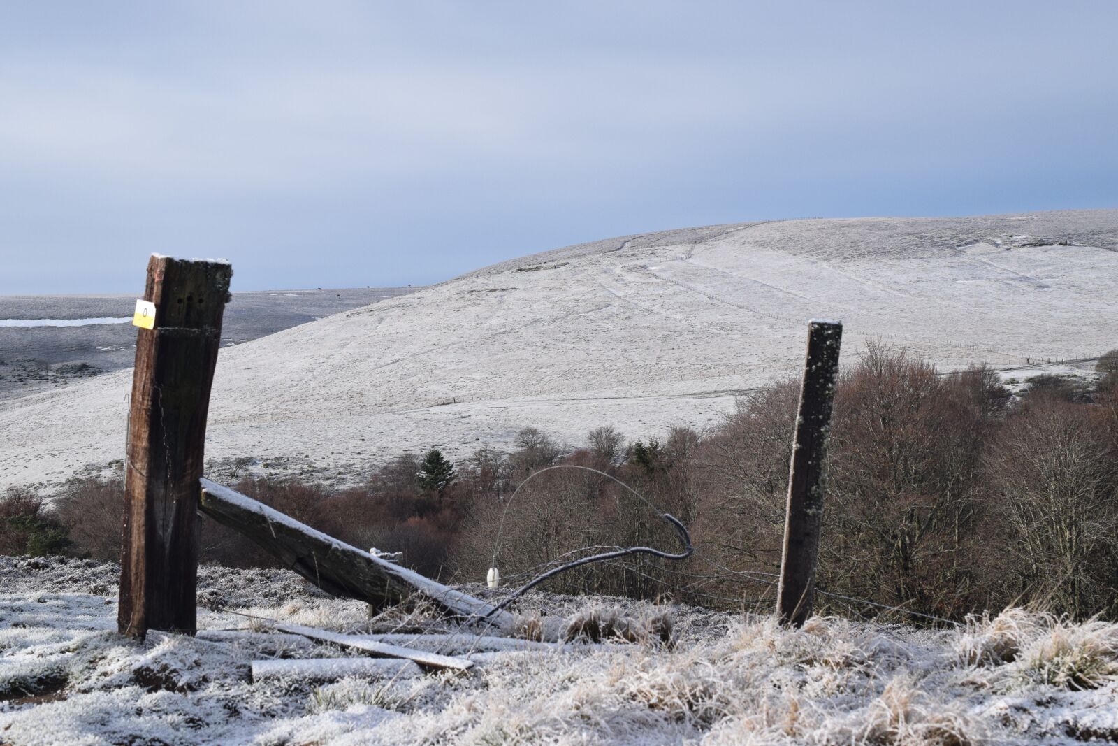 Nikon D5300 sample photo. Gel, cold, winter photography