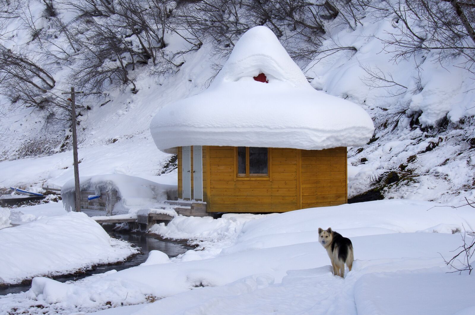 Pentax K-5 sample photo. Winter, hot spring, pairs photography