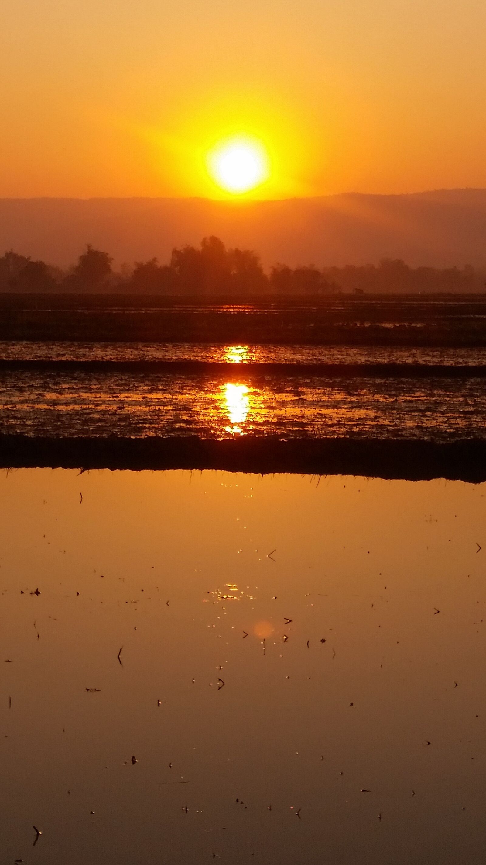 Samsung Galaxy S5 sample photo. Morning, sun, winter photography