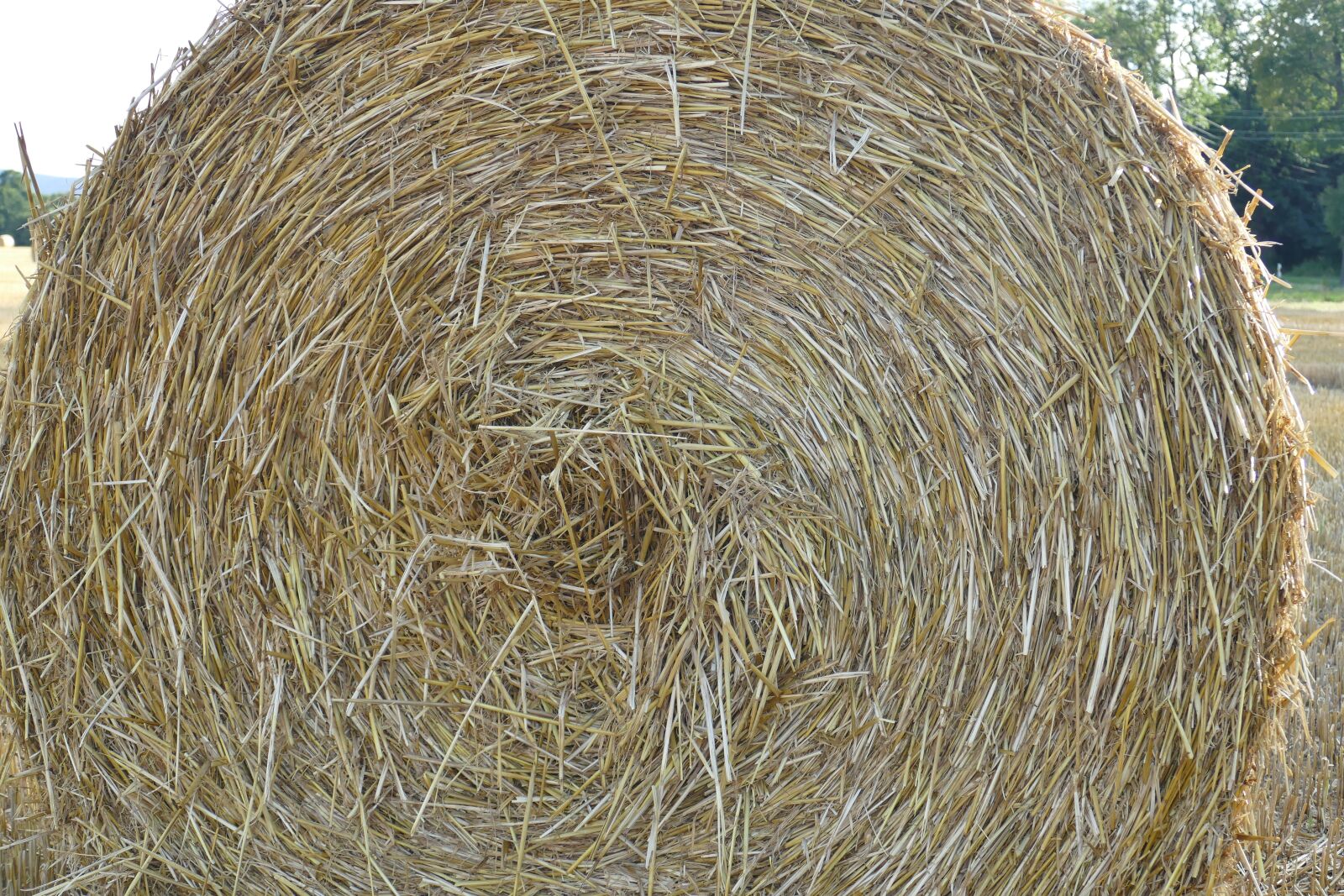 Panasonic Lumix DMC-FZ1000 sample photo. Close up, hay bales photography