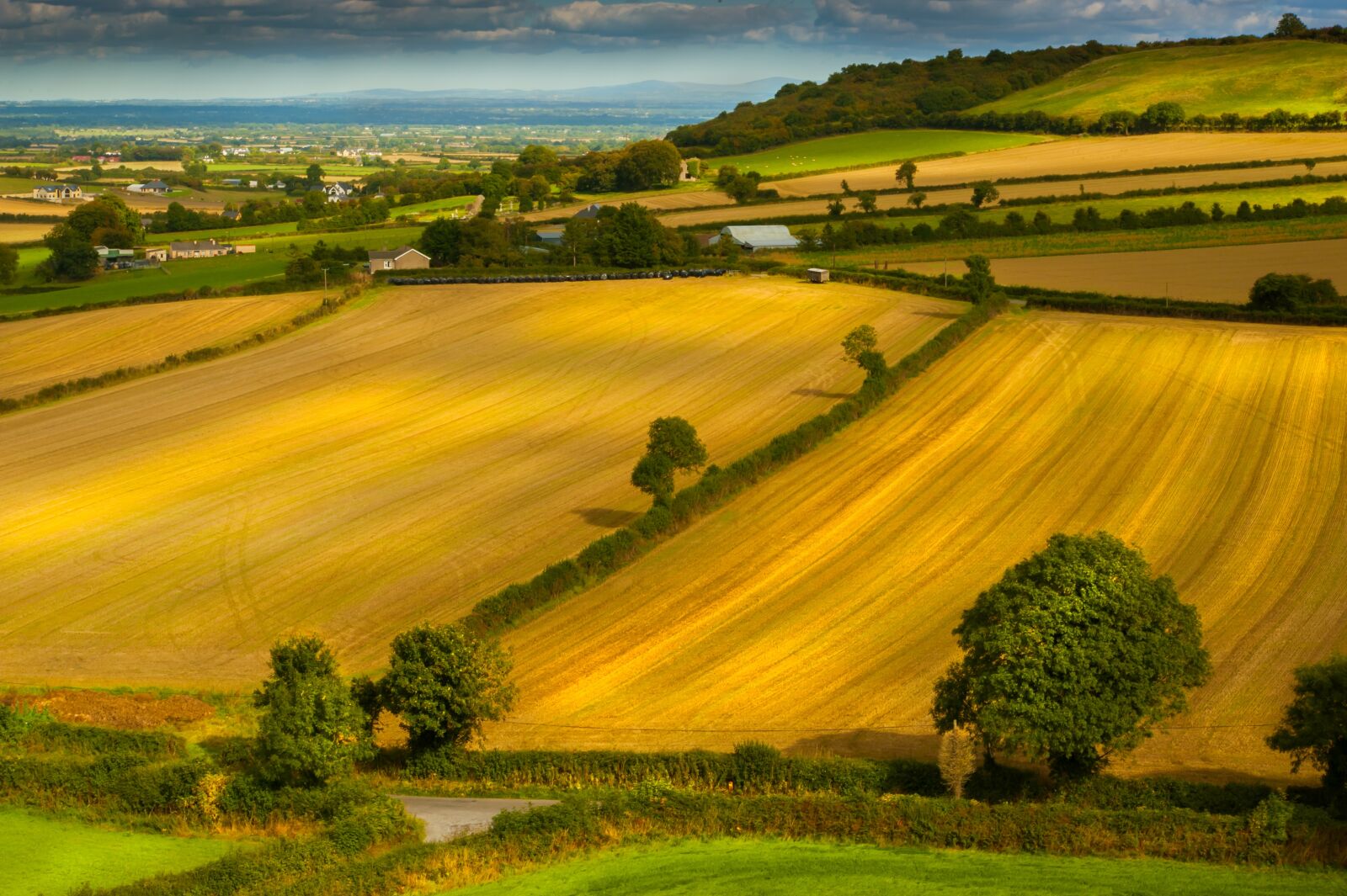 Nikon D700 sample photo. Landscape, fields, agriculture photography