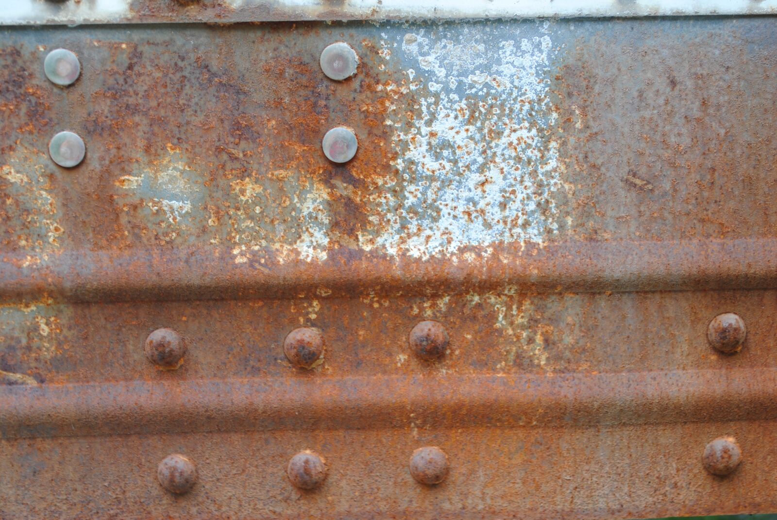 Nikon D3000 sample photo. Texture, rust, brown photography