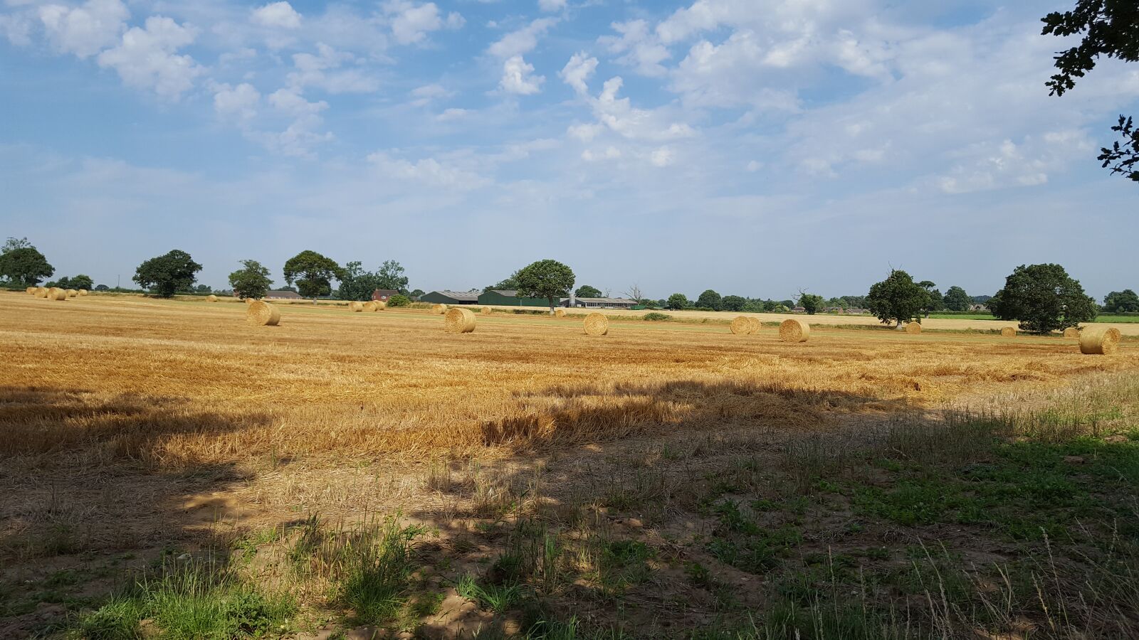 Samsung Galaxy S6 sample photo. Norfolk uk, landscape, open photography