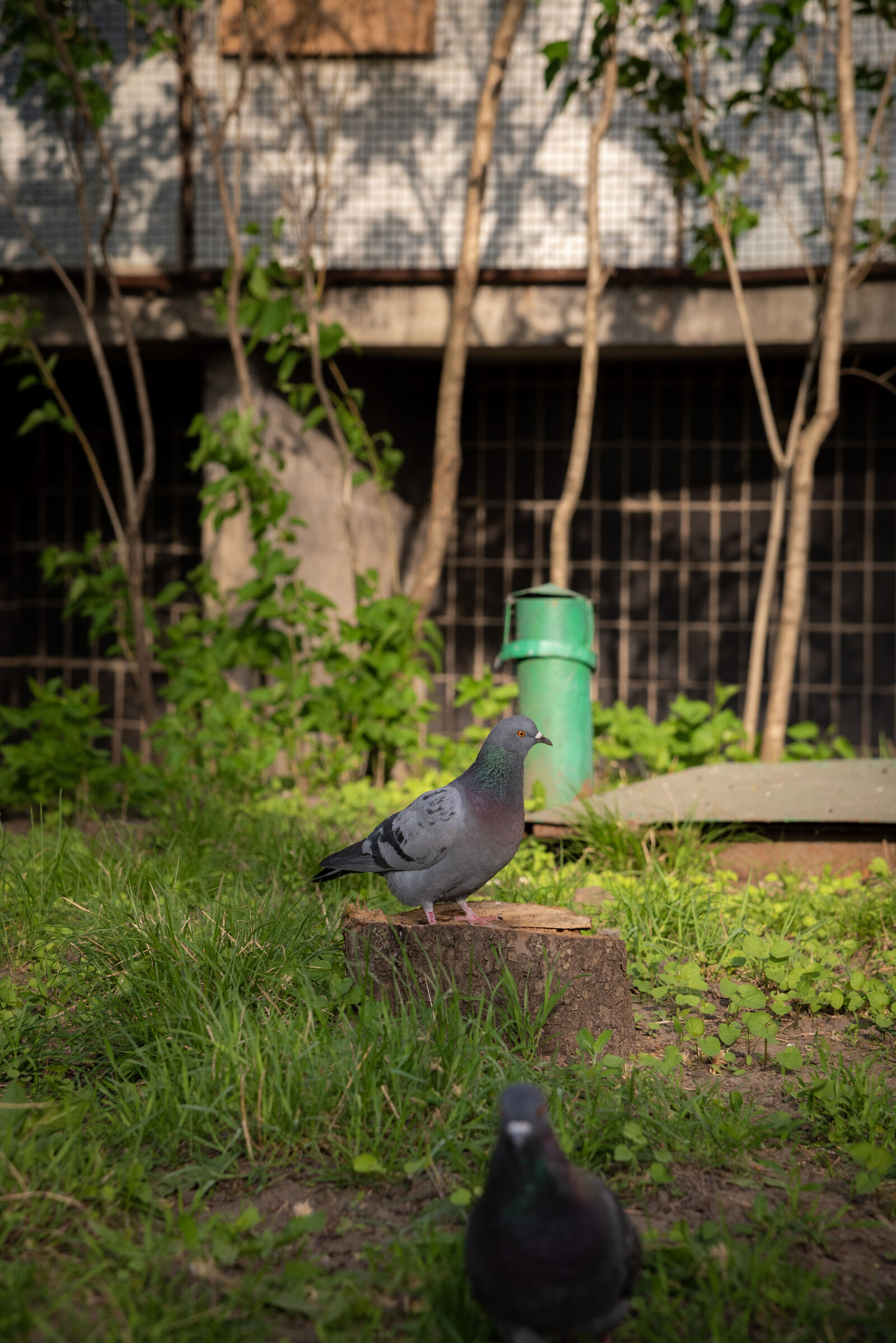 Nikon D750 sample photo