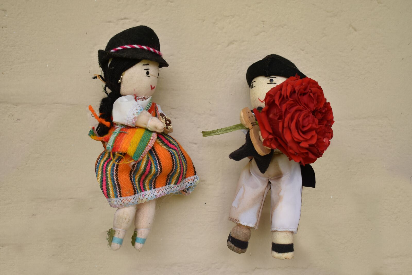 Nikon D3500 sample photo. Rose, ecuador, flore photography