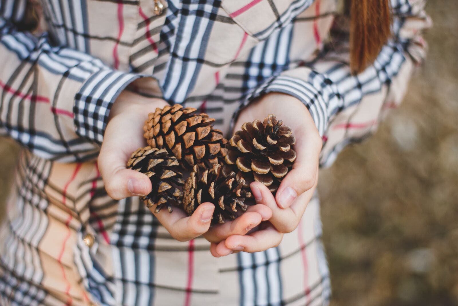 Canon EOS 700D (EOS Rebel T5i / EOS Kiss X7i) sample photo. Cones, hands, girl photography
