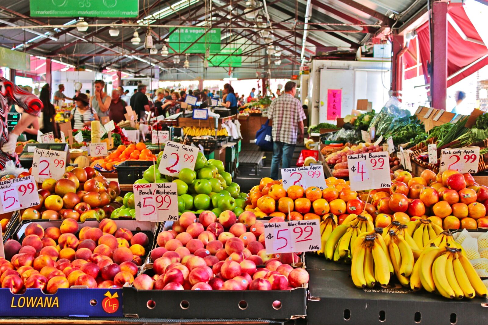 Canon EOS 600D (Rebel EOS T3i / EOS Kiss X5) sample photo. Australia, melbourne, city photography