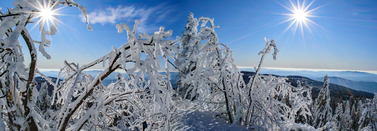 Nikon D5300 sample photo. Great arber, bavarian forest photography