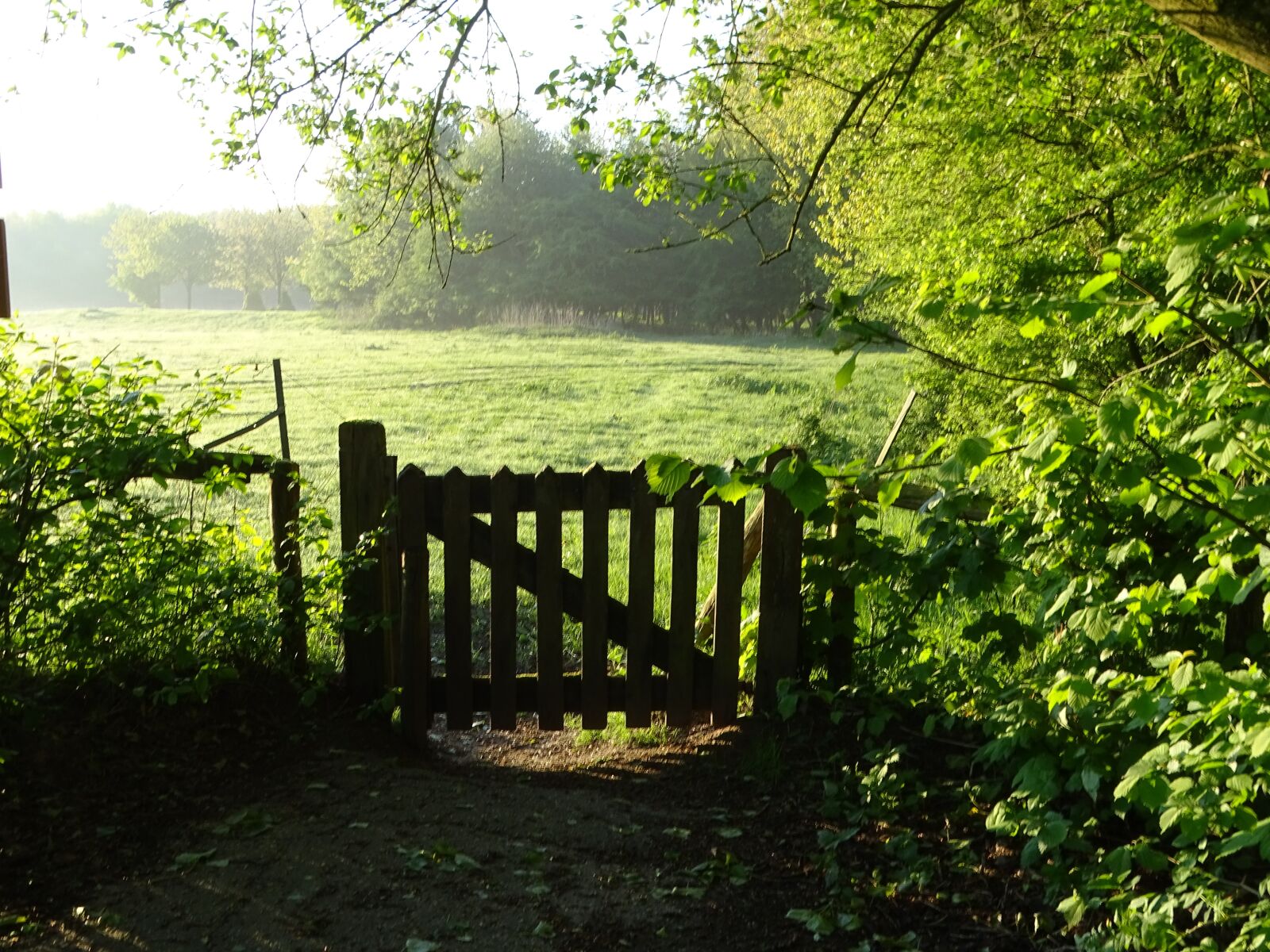 Sony Cyber-shot DSC-HX400V sample photo. Fence, nature reserve, nature photography