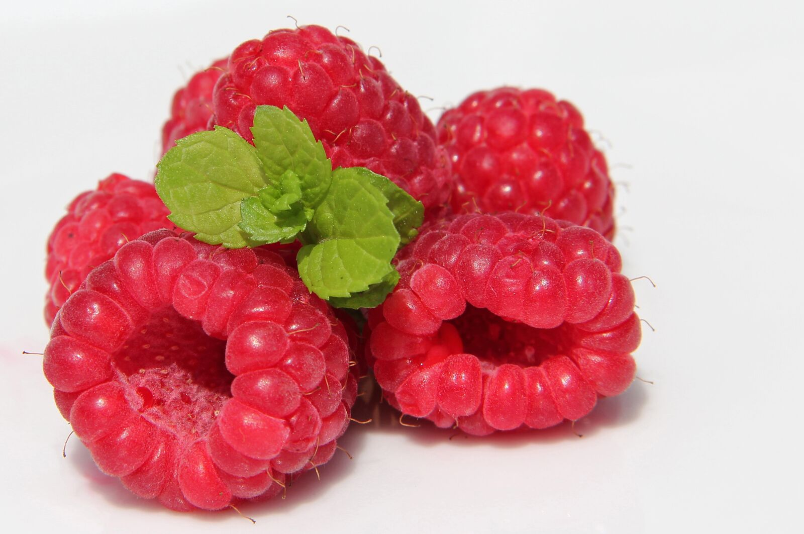 Canon EOS 550D (EOS Rebel T2i / EOS Kiss X4) sample photo. Raspberry, mint, berries photography