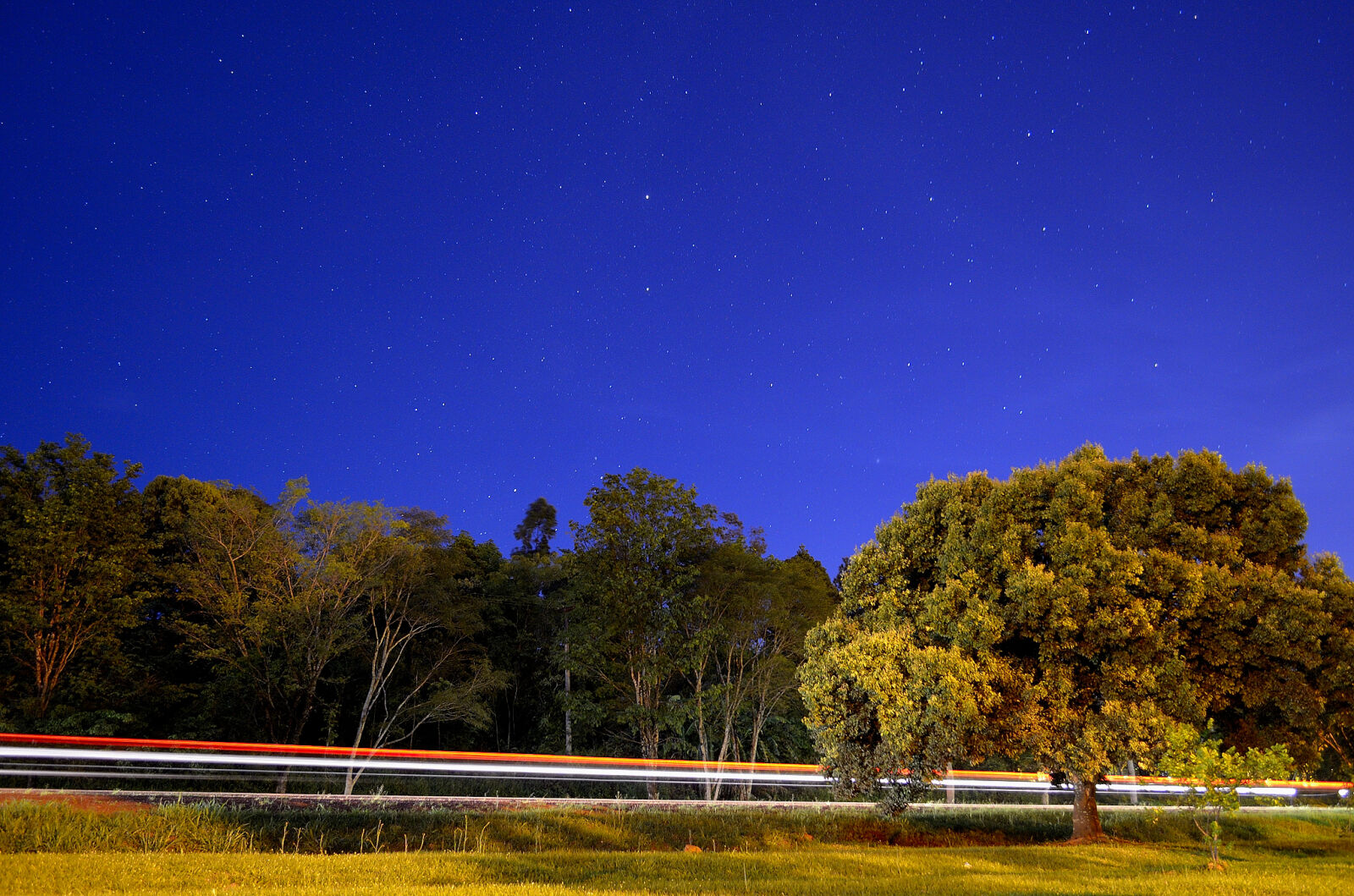 Nikon D5100 sample photo