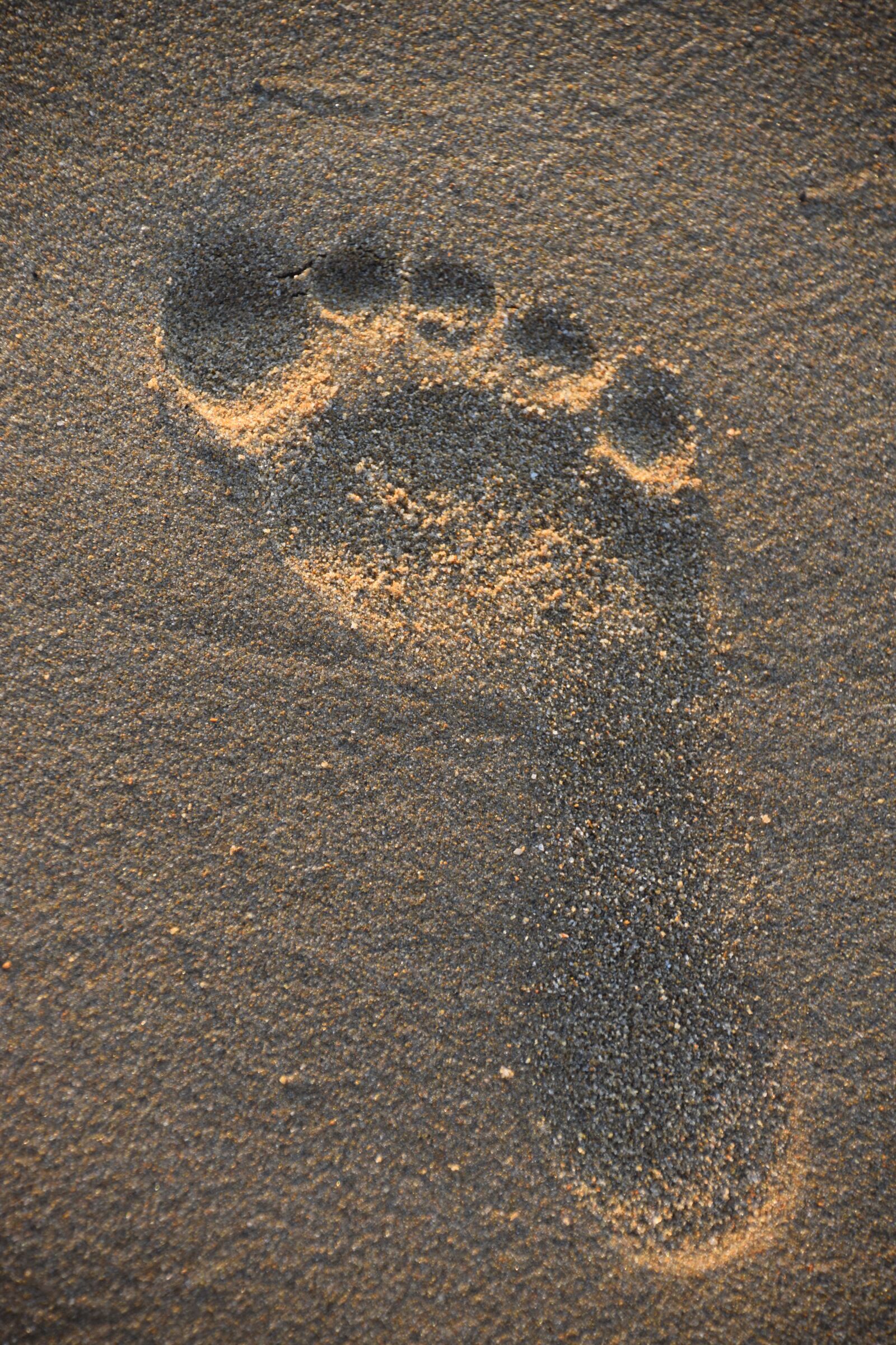 Nikon D5300 sample photo. Traces, sand, pilot beach photography
