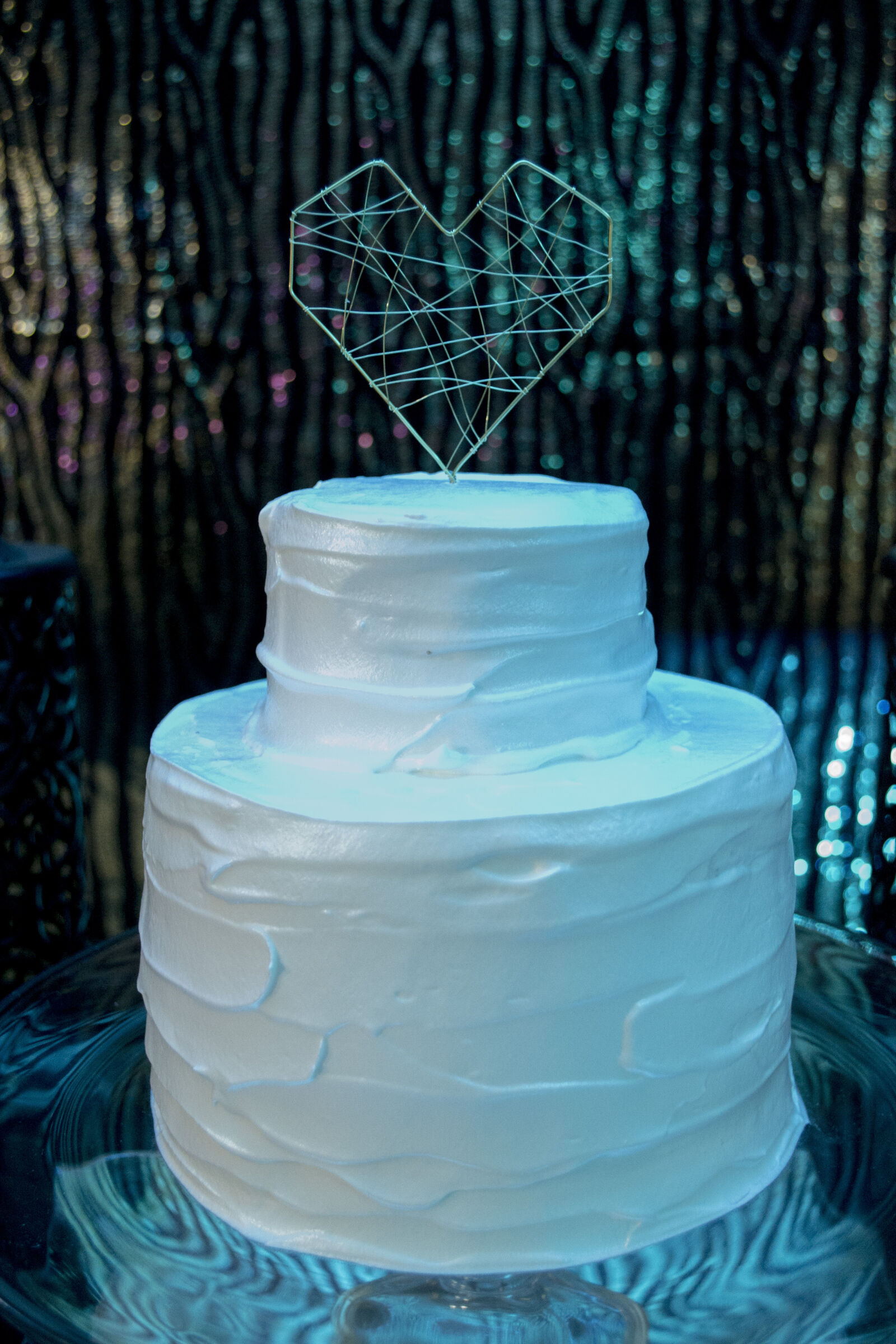 Nikon D3100 sample photo. Photo, wedding photography