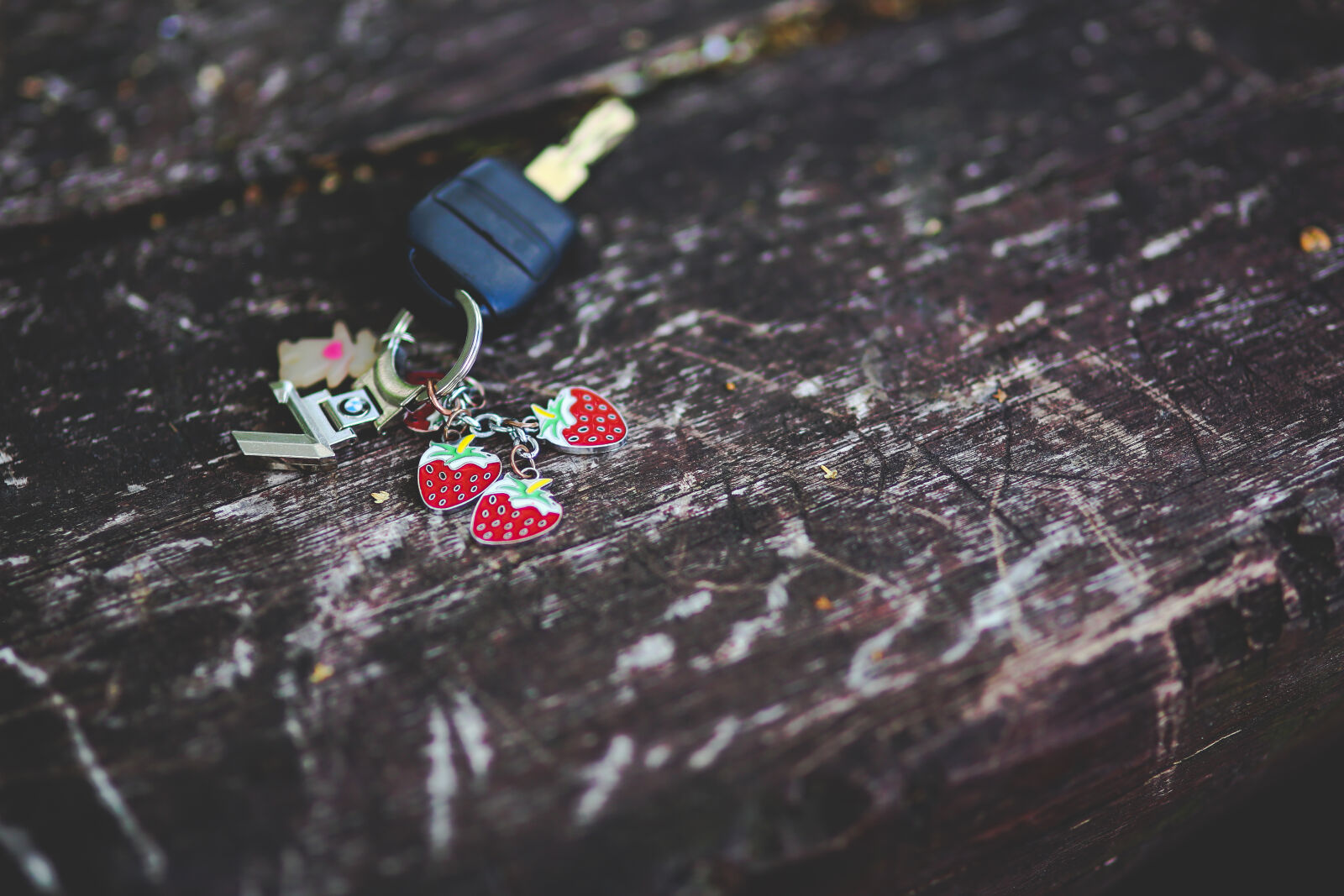 Canon EOS 6D + Sigma 85mm F1.4 EX DG HSM sample photo. Car, key, with, keyring photography