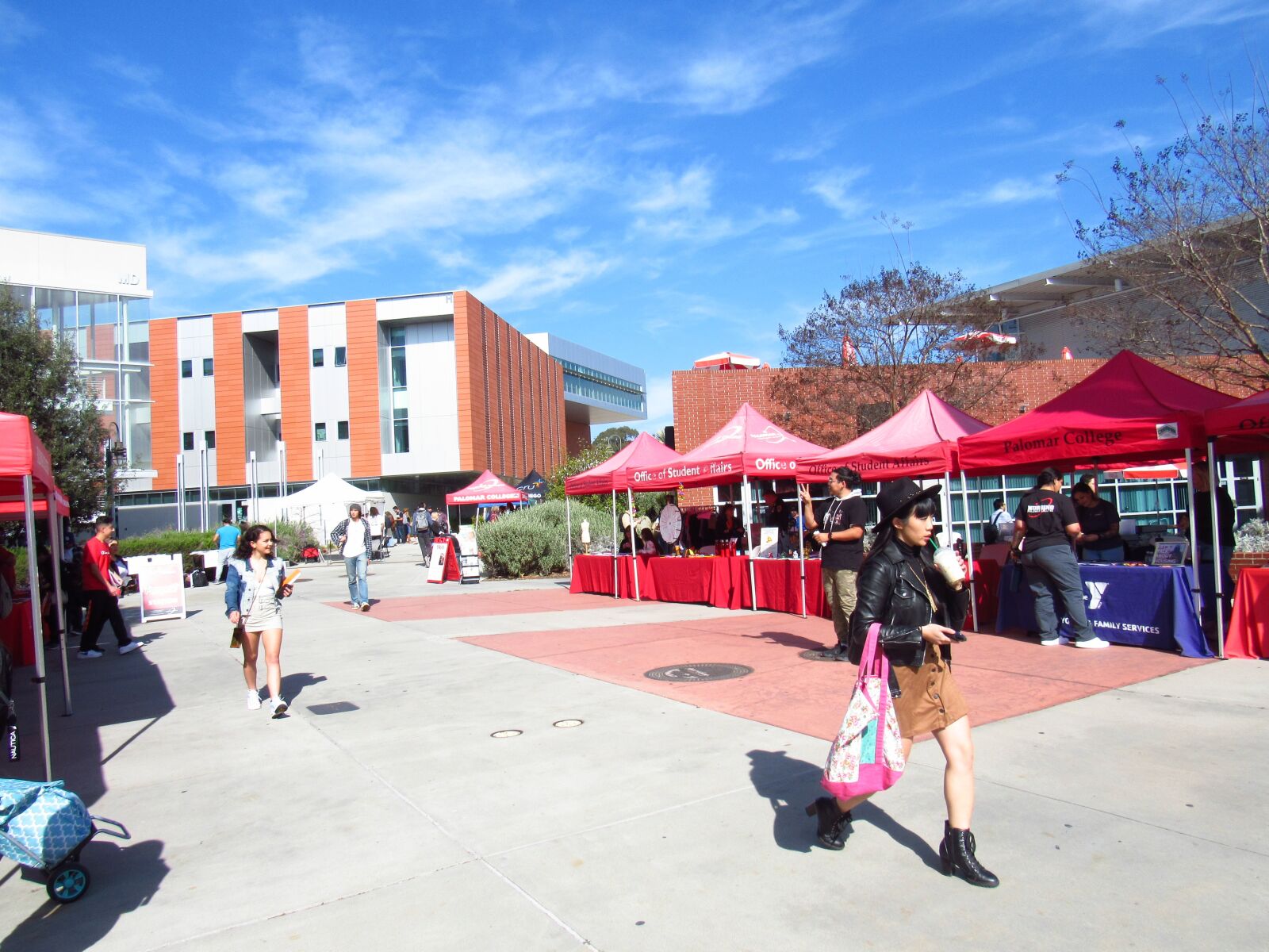 Canon PowerShot SX530 HS sample photo. Palomar, palomarcollege, palomarlibrary photography
