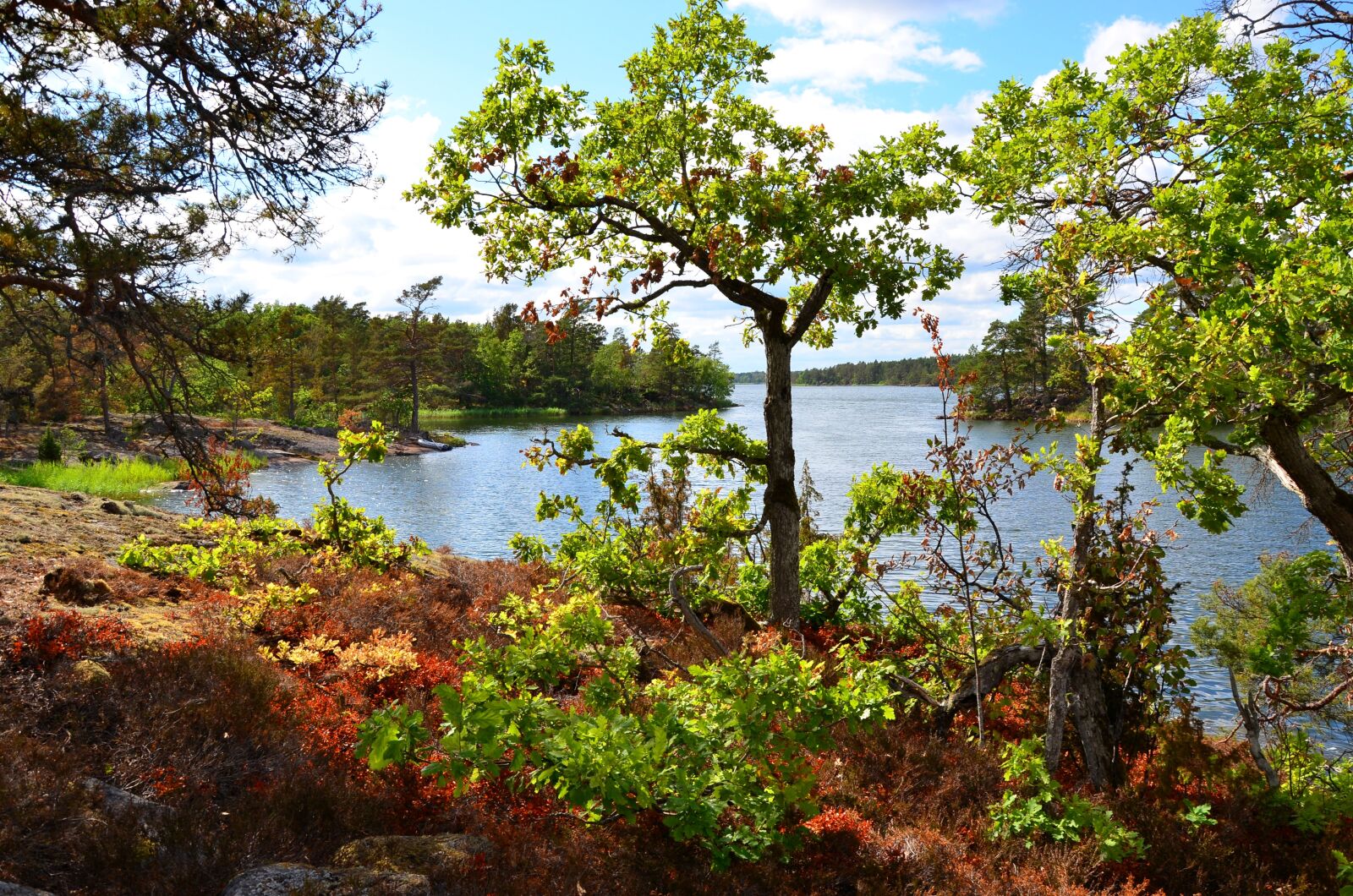 Nikon D7000 sample photo. Sweden, shaving, restored photography