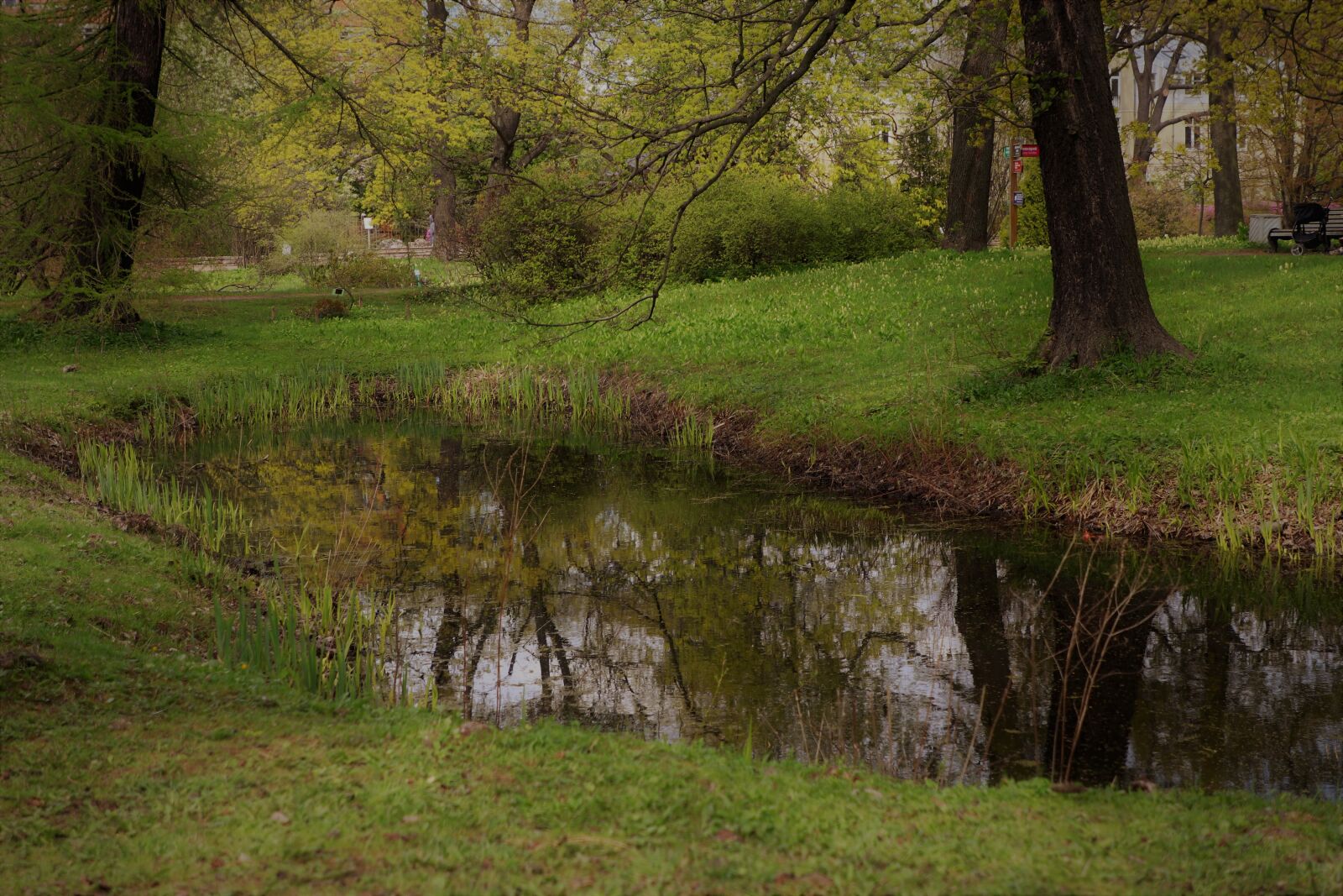 Canon EOS 77D (EOS 9000D / EOS 770D) sample photo. Landscape, park, nature photography