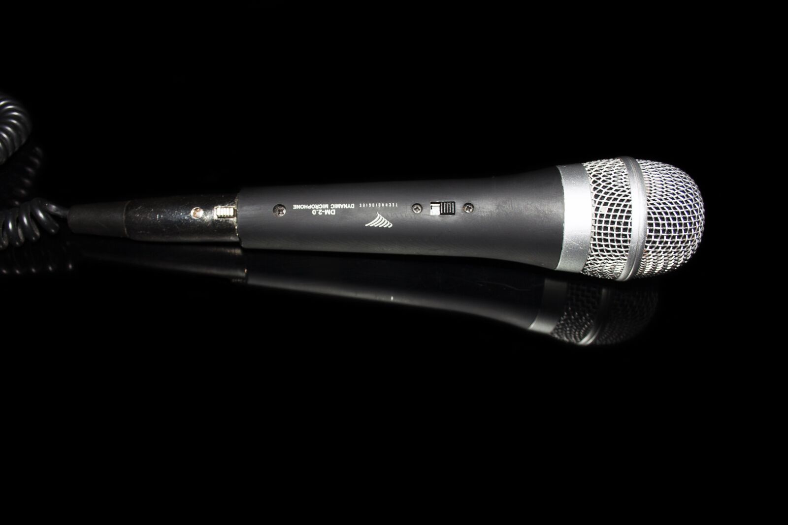 Canon EF-S 18-55mm F3.5-5.6 II sample photo. Microphone, music, sing-along photography