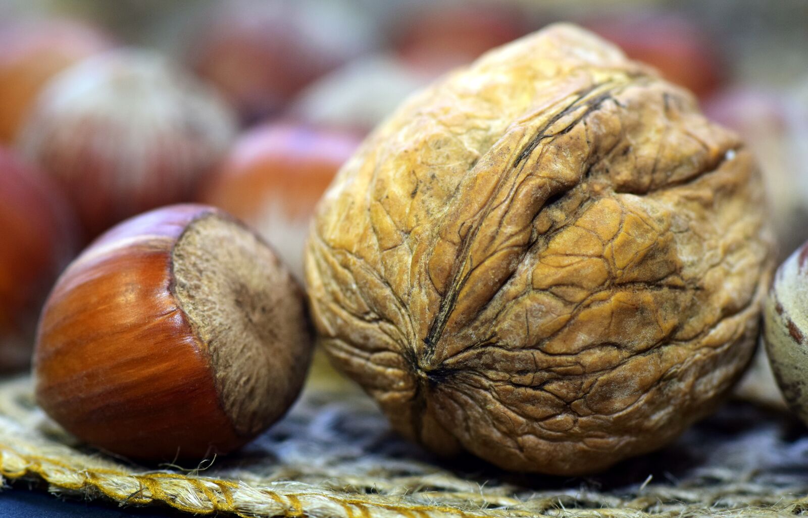 Nikon D3300 sample photo. Walnut, hazelnut, shell photography