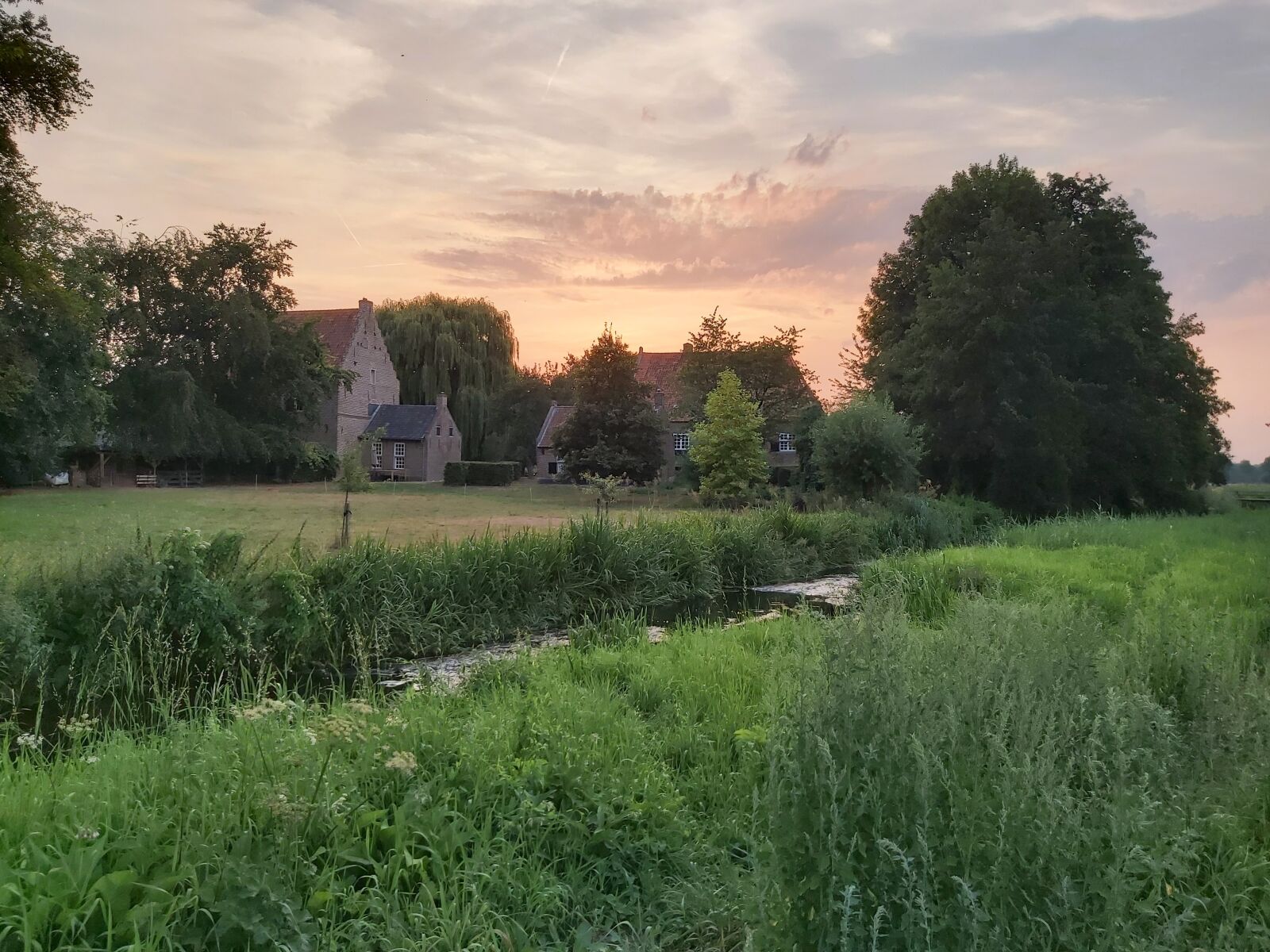 Samsung Galaxy A70 sample photo. Meerlo, old, green photography