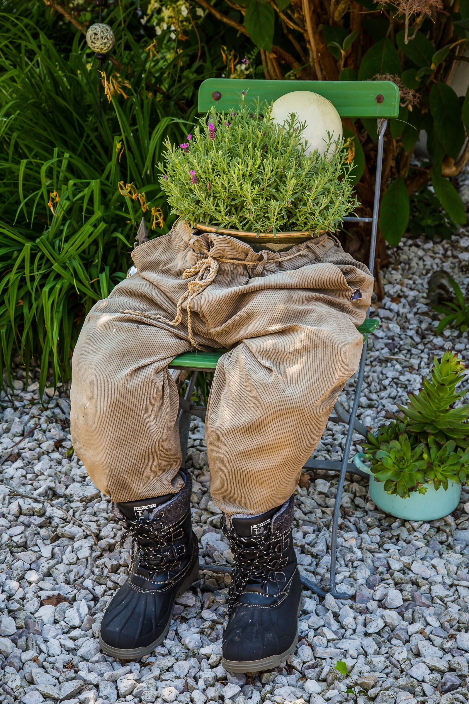 Canon EF 24-105mm F4L IS USM sample photo. Torso, pants, herbs photography