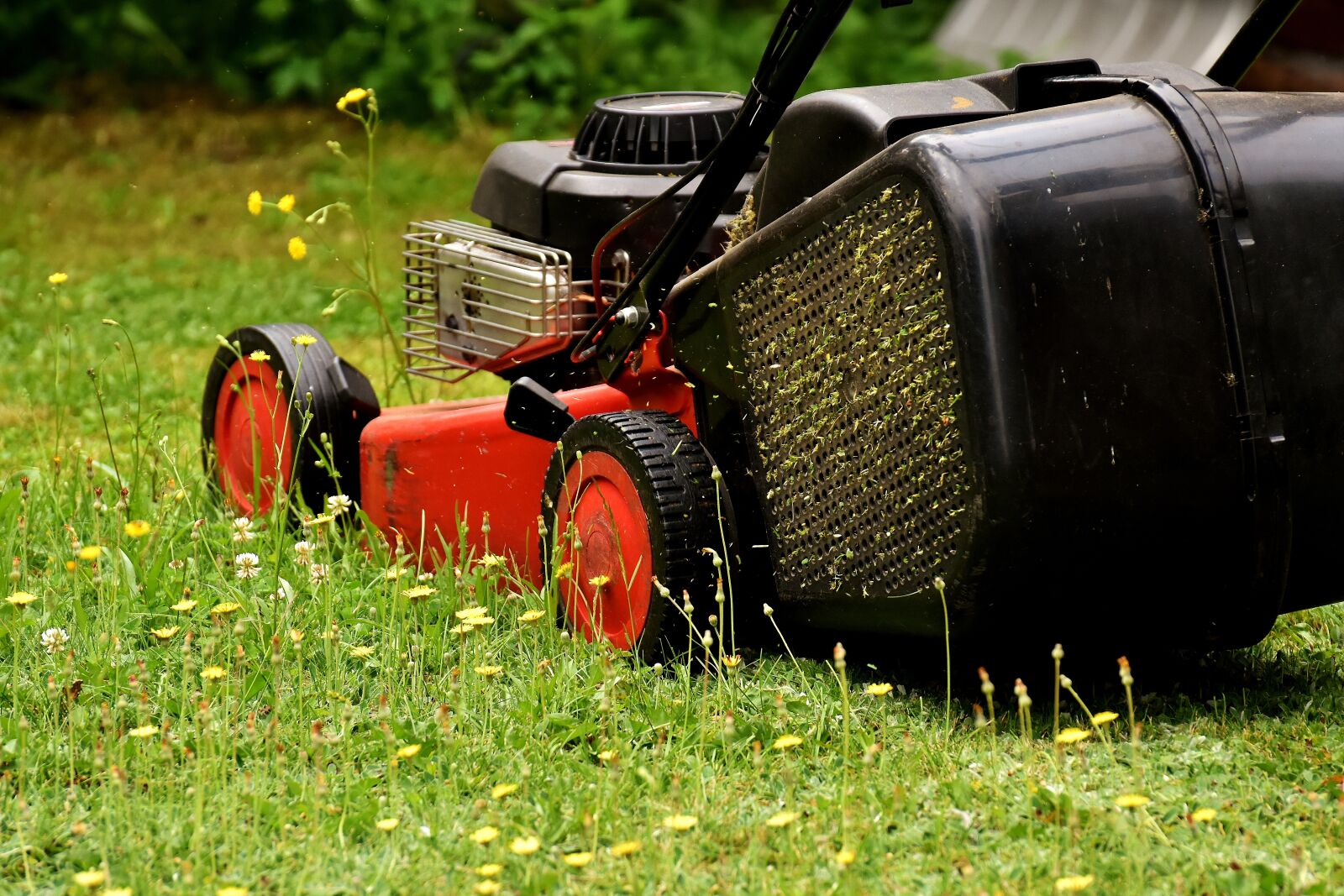 Nikon D7200 sample photo. Lawn mower, mow, lawn photography
