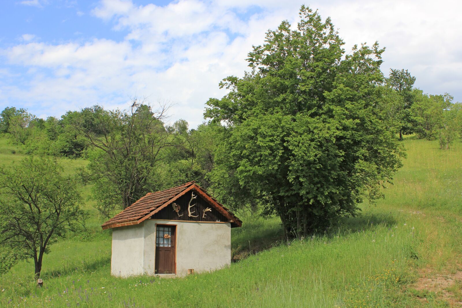 Canon EOS 550D (EOS Rebel T2i / EOS Kiss X4) sample photo. House, horns, old photography