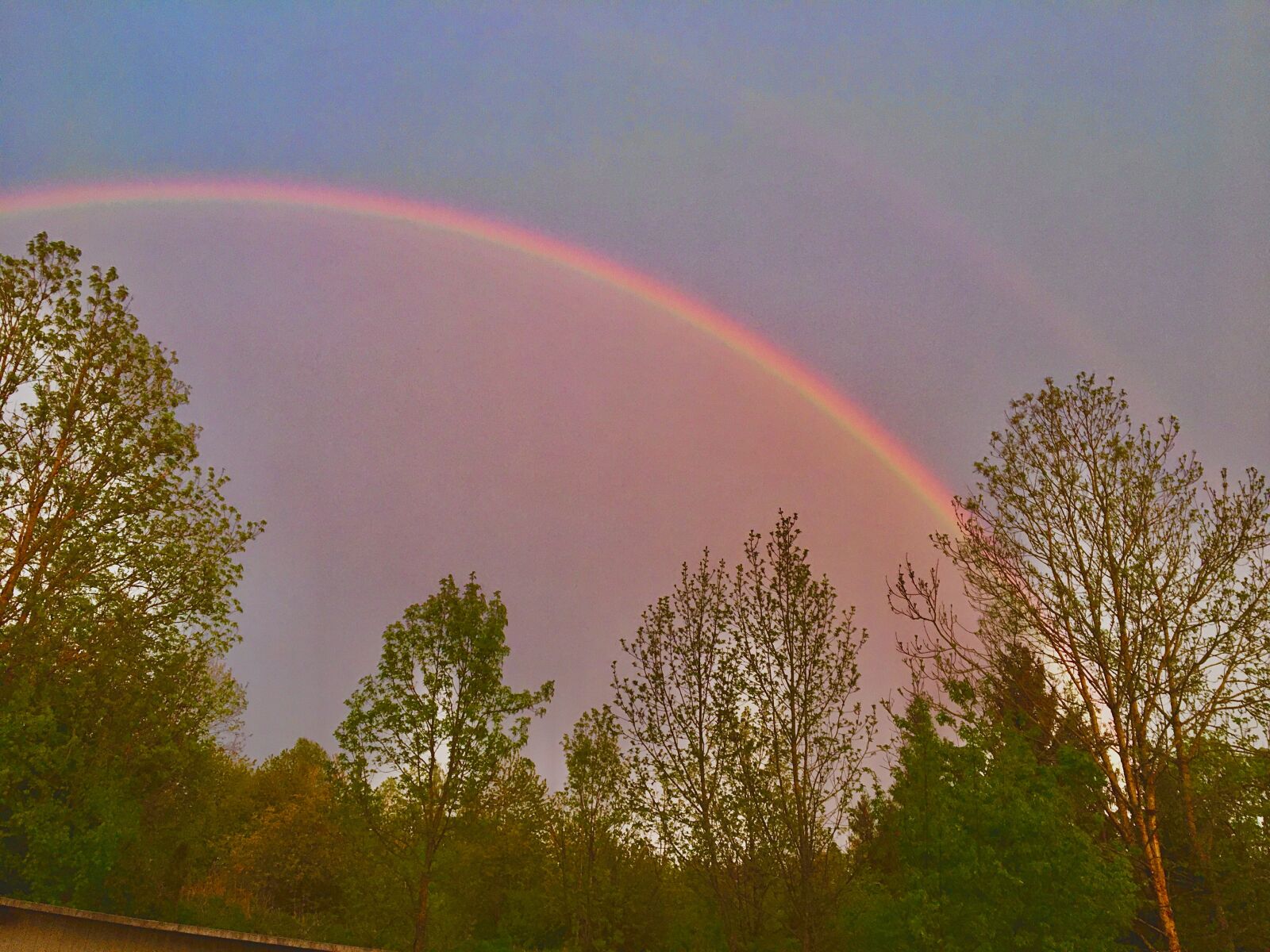 Apple iPhone 6s sample photo. Rainbow, rain, sun photography