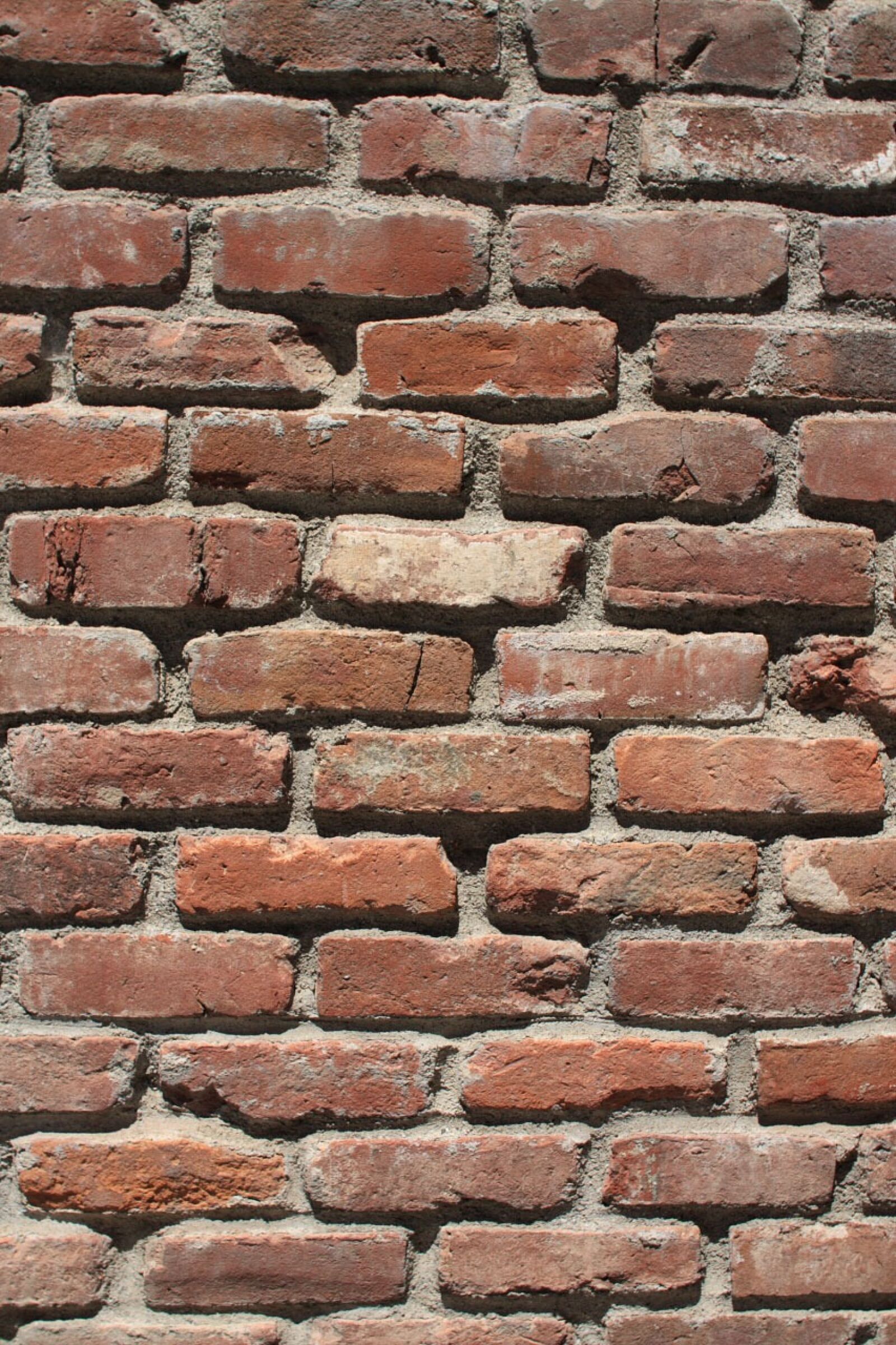 Canon EOS 450D (EOS Rebel XSi / EOS Kiss X2) sample photo. Clay, brick, wall photography