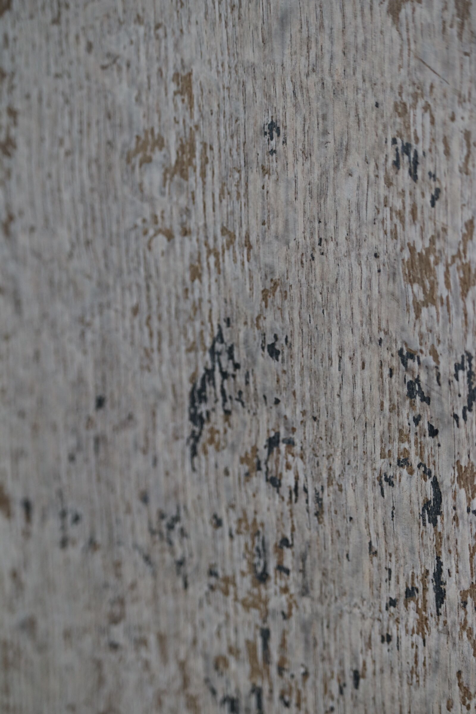 Canon EF-S 55-250mm F4-5.6 IS STM sample photo. Grain, macro, photo, macro photography