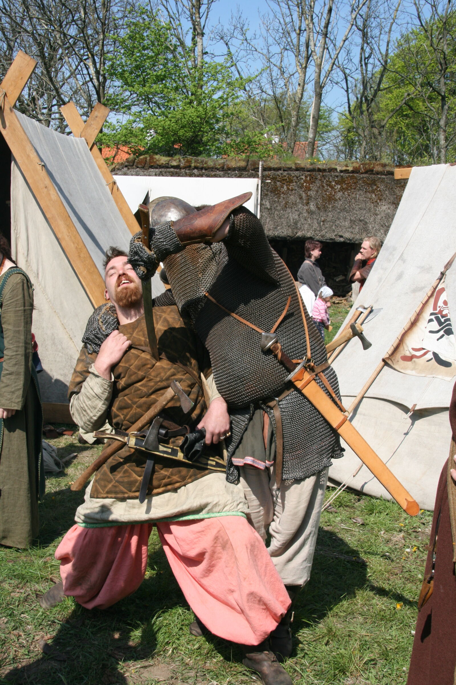 Sigma 18-200mm f/3.5-6.3 DC OS sample photo. Vikings photography