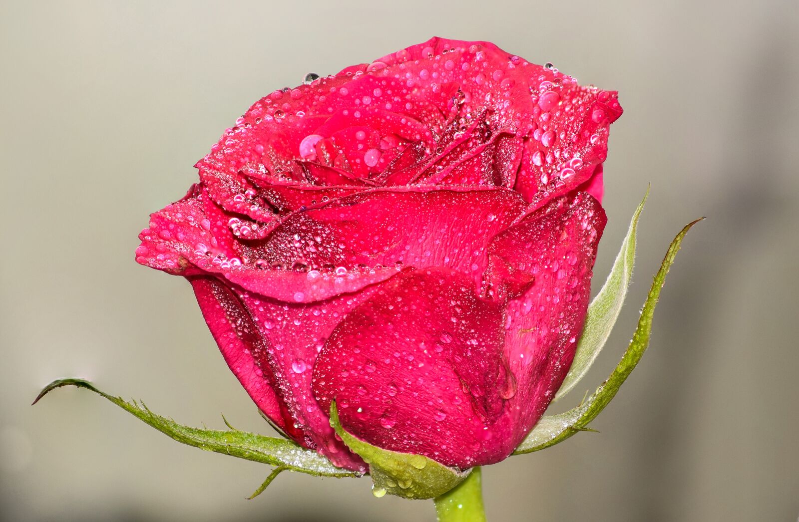 Nikon D5300 sample photo. After rain, art, artistic photography